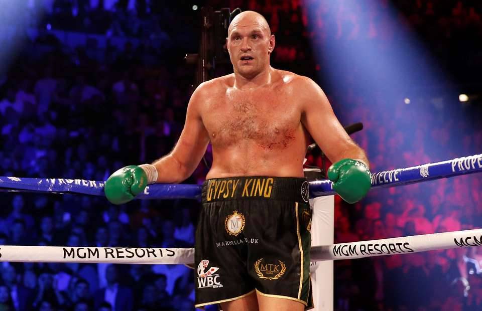 Overprotected Boxer The 30 most overrated boxers in history have been named by fans (10-1)