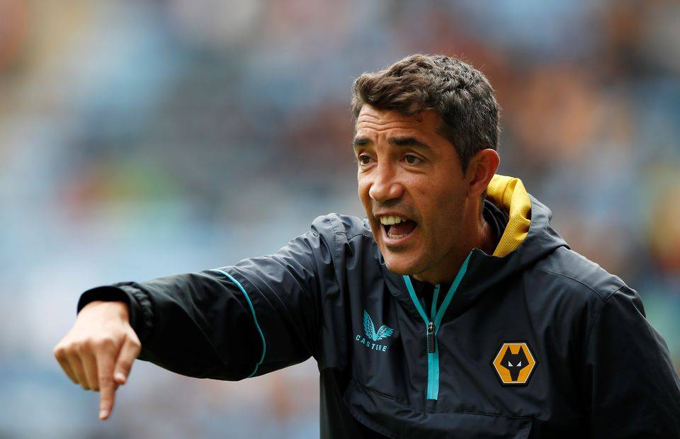 Wolves transfer news: 