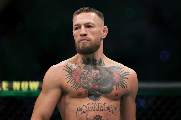 Michael Bisping thought Conor McGregor's alleged behaviour was 'stupid' and labelled him a bully 