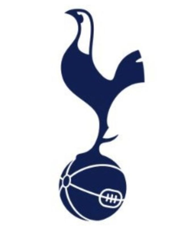 Tottenham Badge