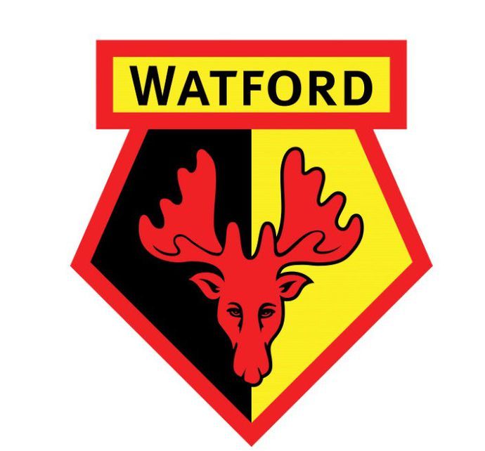 Watford Badge