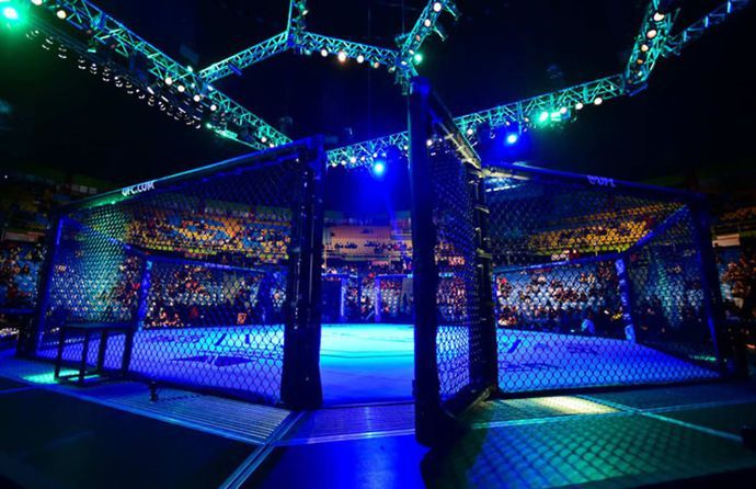 UFC Fight Night Octagon
