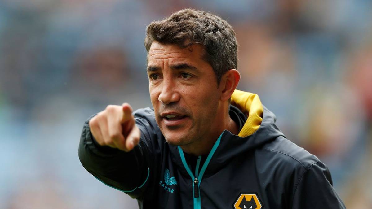 Four Wolves stars now singled out for 'quality' this season