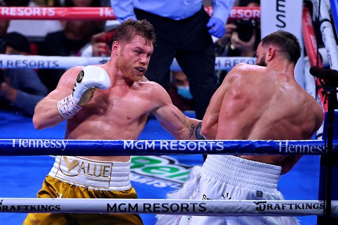 Canelo Alvarez knocked out Caleb Plant in the eleventh round in November last year