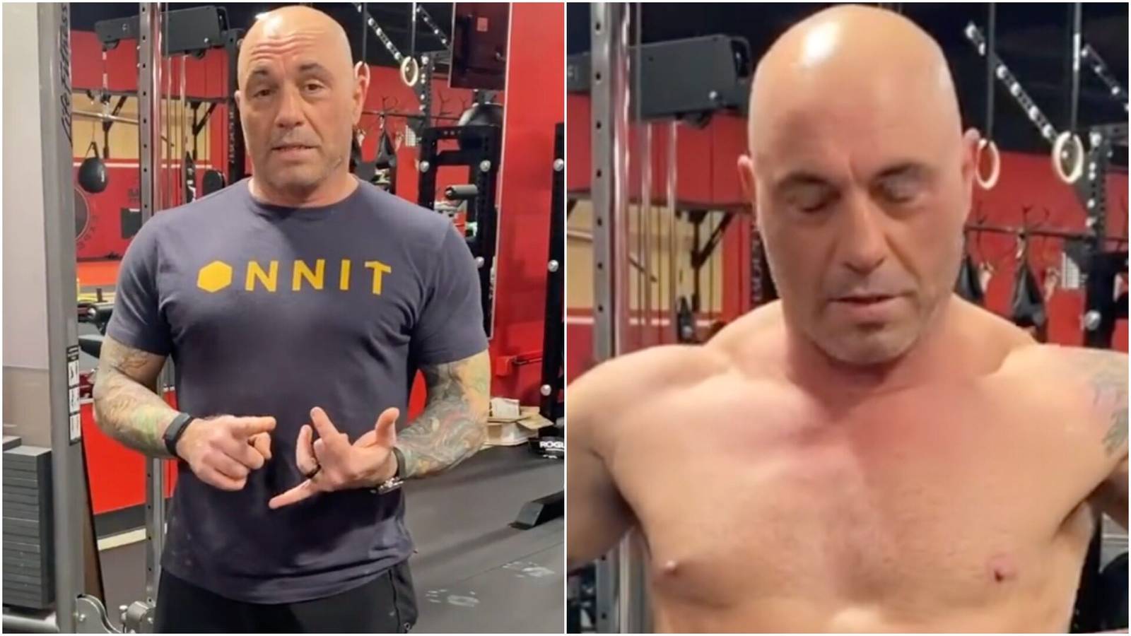 Joe Rogan Rear End Joe Rogan's ripped physique after doing carnivore diet for one month in ...
