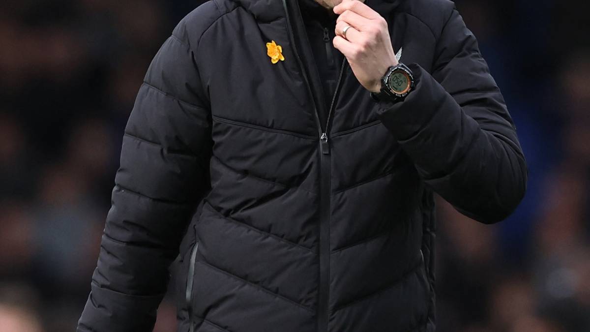 Wolves: 'Formidable' £71.1m-rated trio tipped for big impact at Molineux