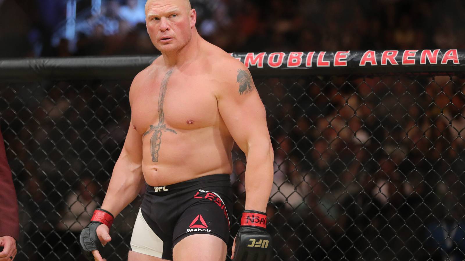 On This Day in 2010: Brock Lesnar Defended His UFC Heavyweight Title in  Dramatic Fashion -, image size:1600x900