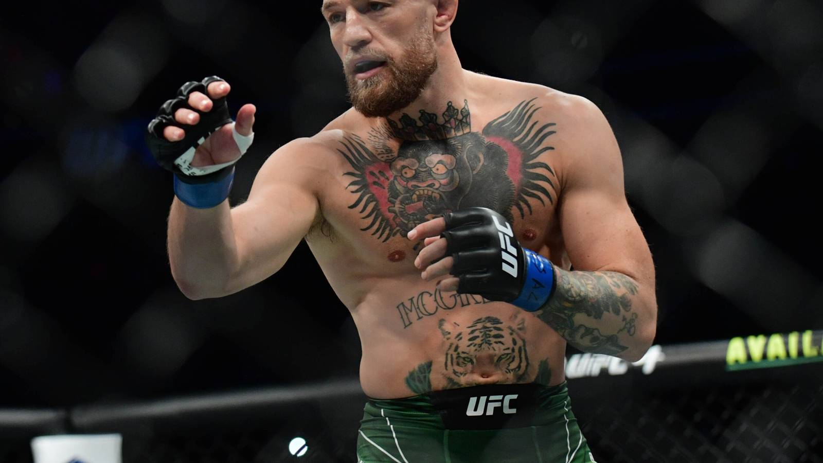 Conor McGregor warned against moving up to welterweight as he 'cannot  handle that wrestling', image size:1600x900