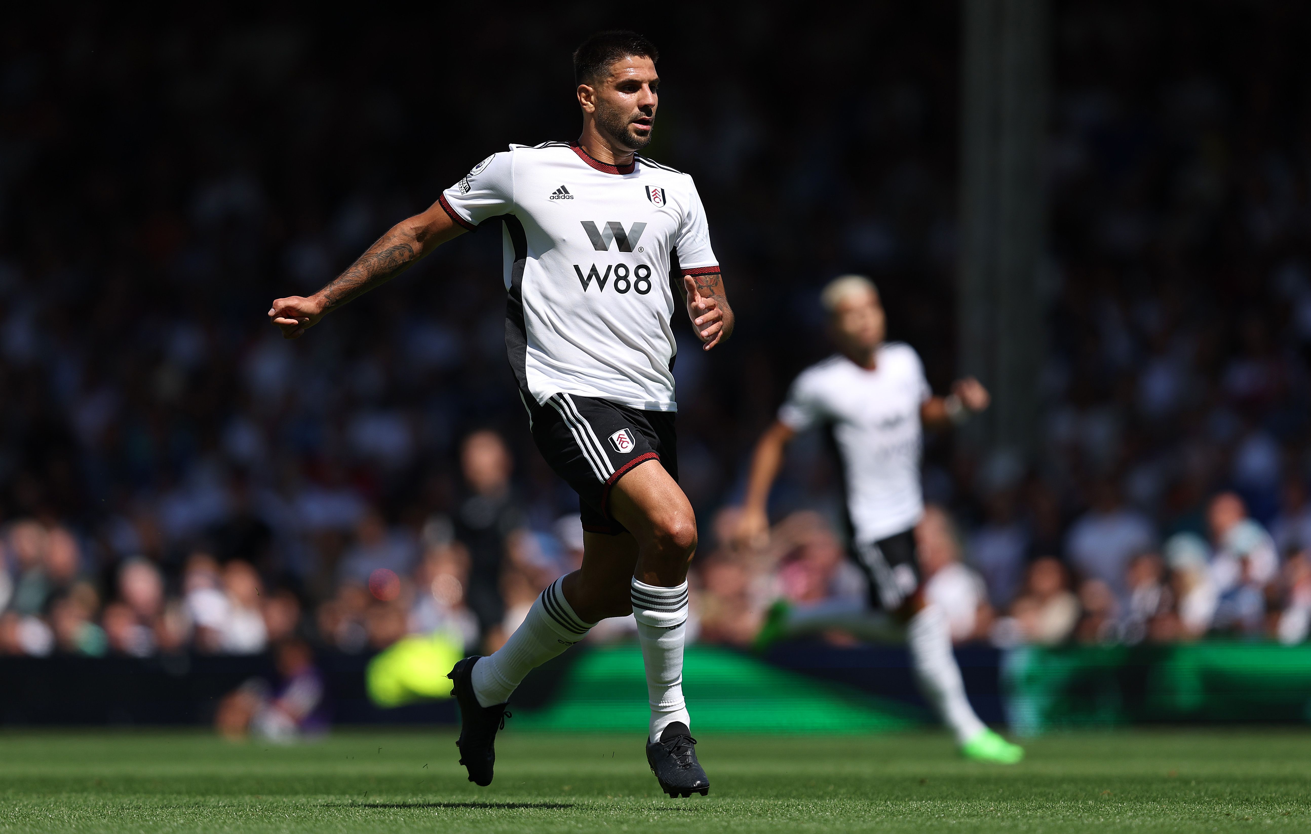  Aleksandar Mitrovic of Fulham looks on during the Premier League match