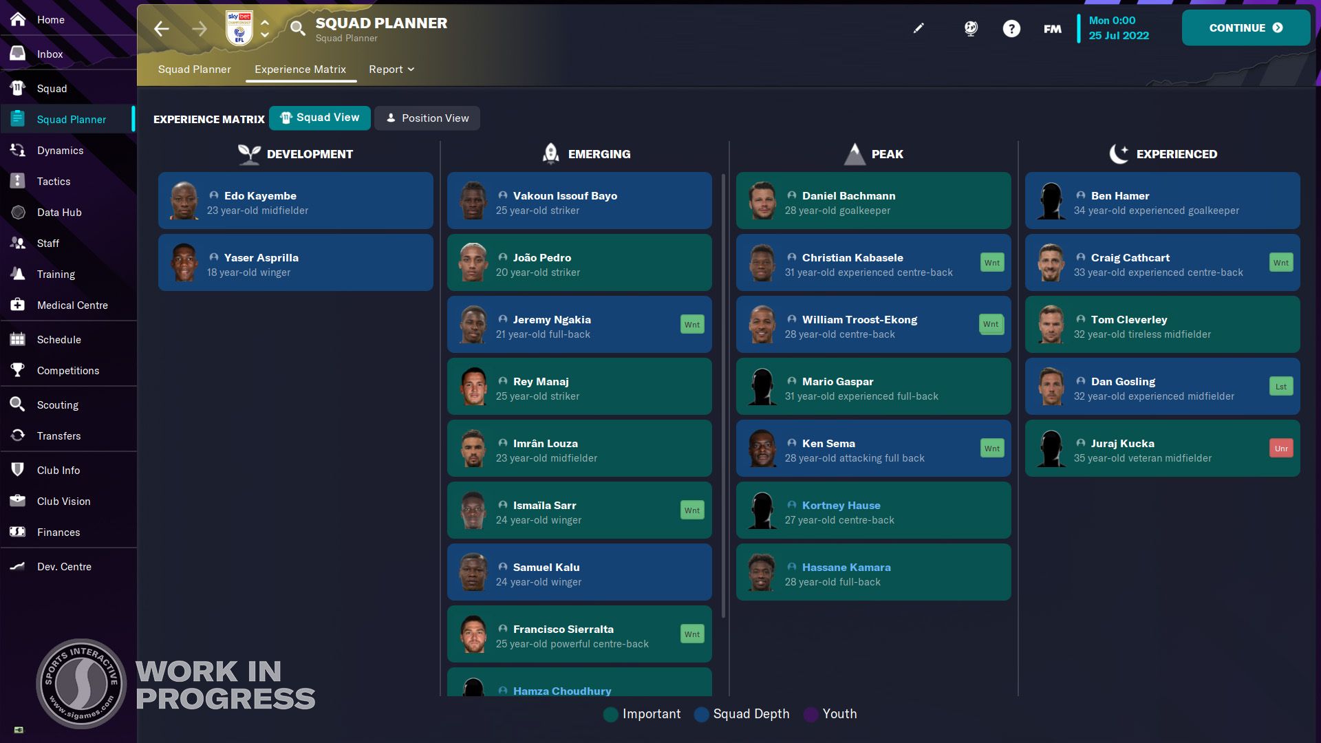 Football Manager 2023 Experience Matrix (Sports Interactive)