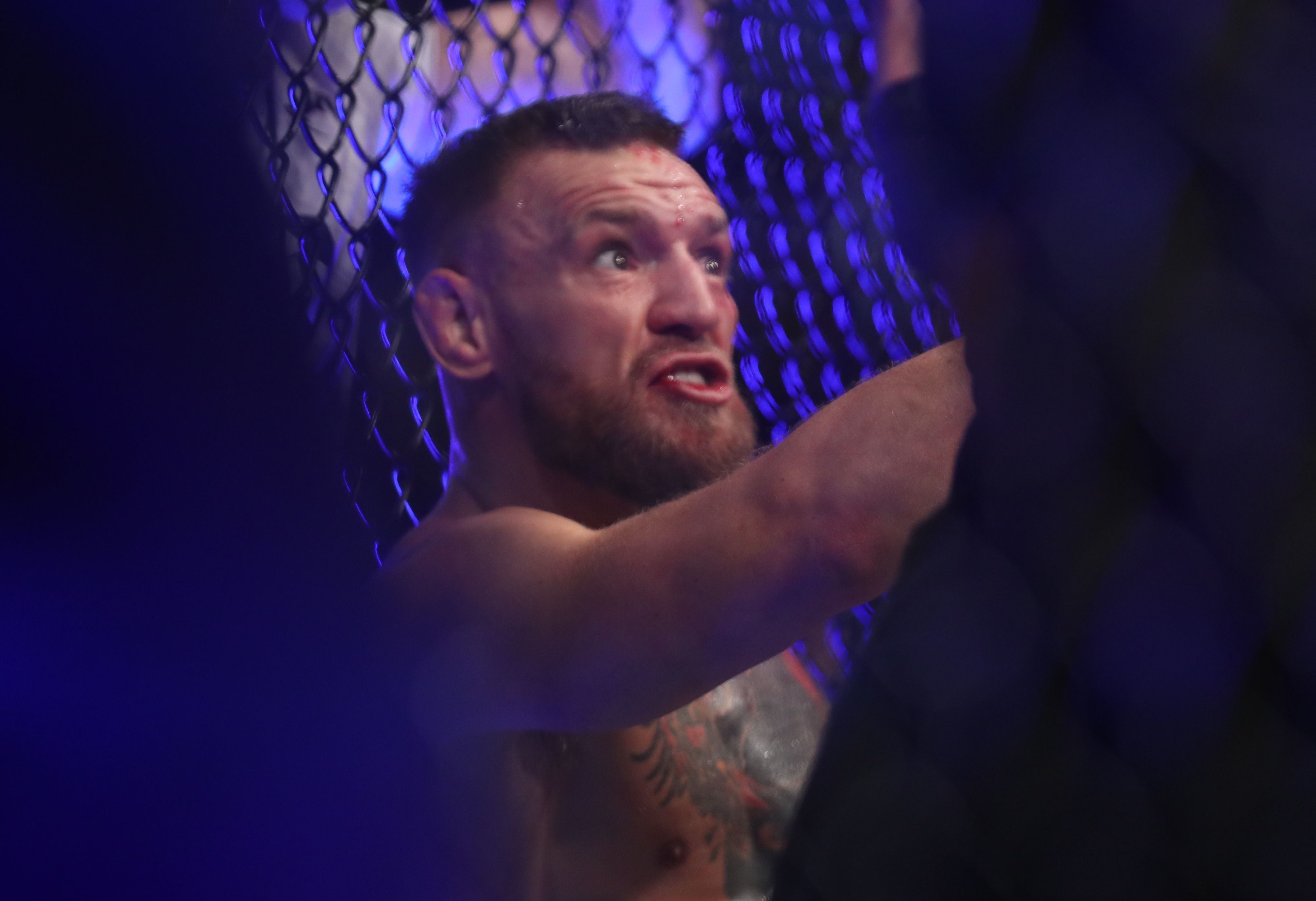 Michael Bisping has continued his war of words with Conor McGregor