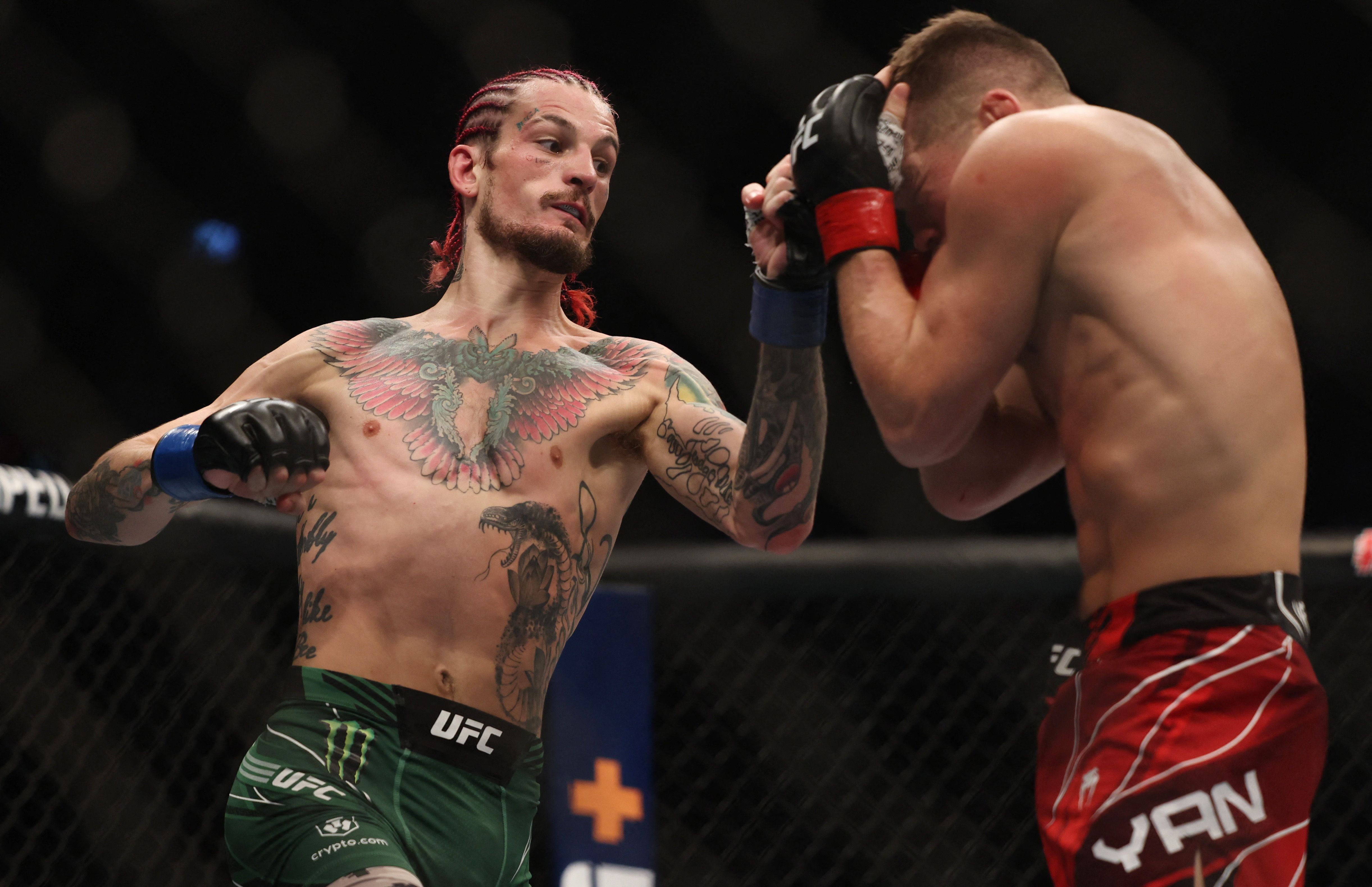 UFC: Was Sean O'Malley's Win Over Petr Yan A Robbery?