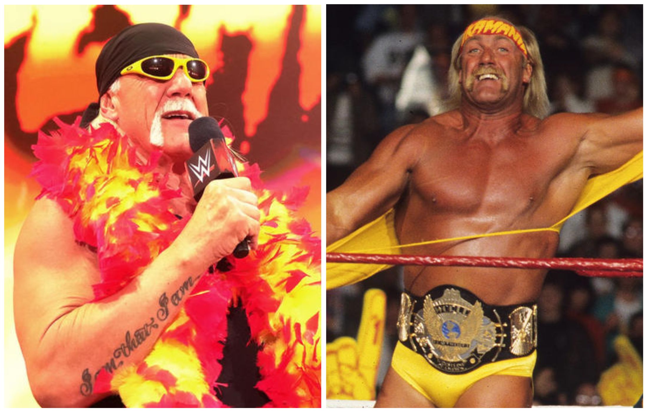 WWE: Hulk Hogan hilariously posts embarrassing private message on Twitter