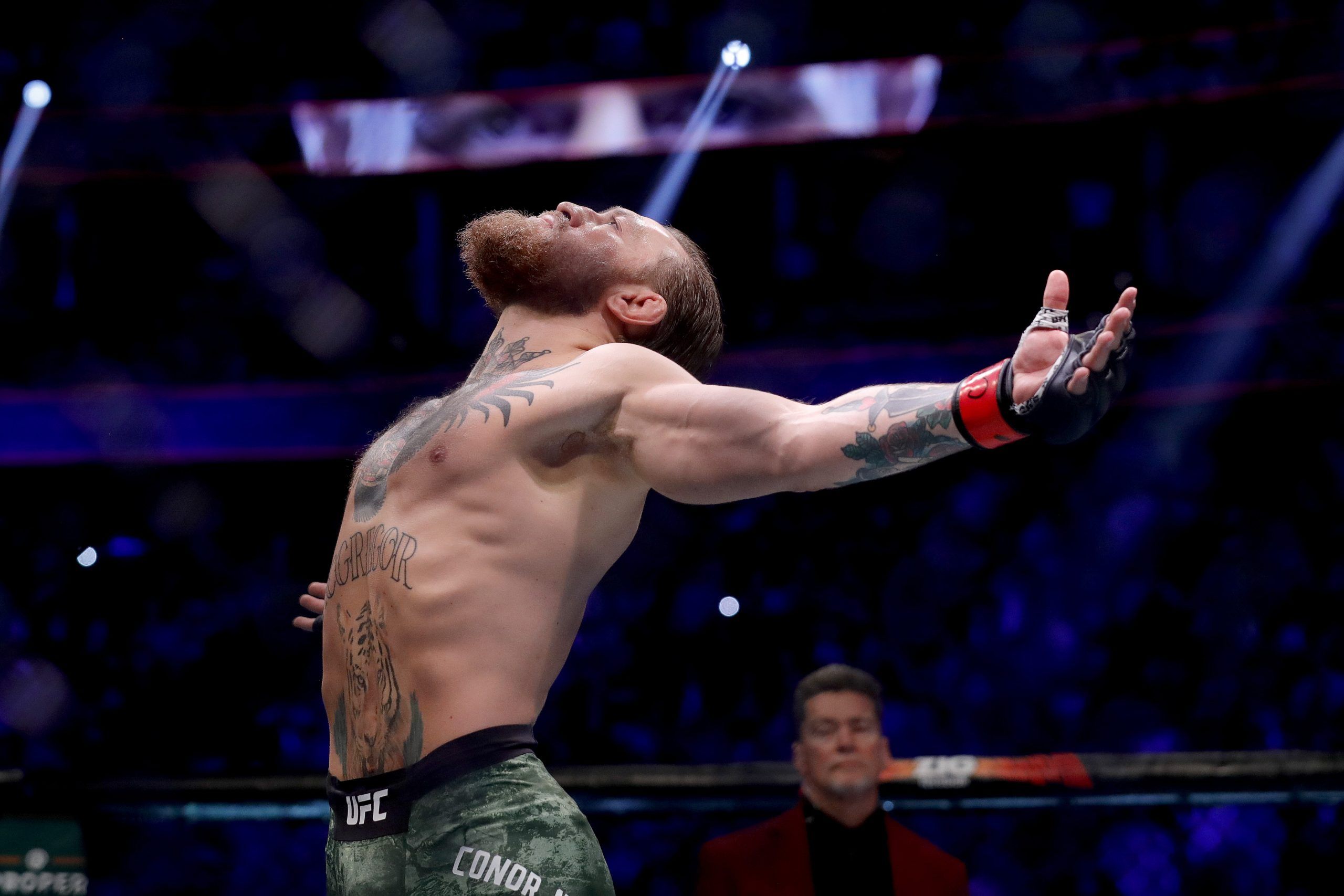 Another life: What did Conor McGregor do before MMA?