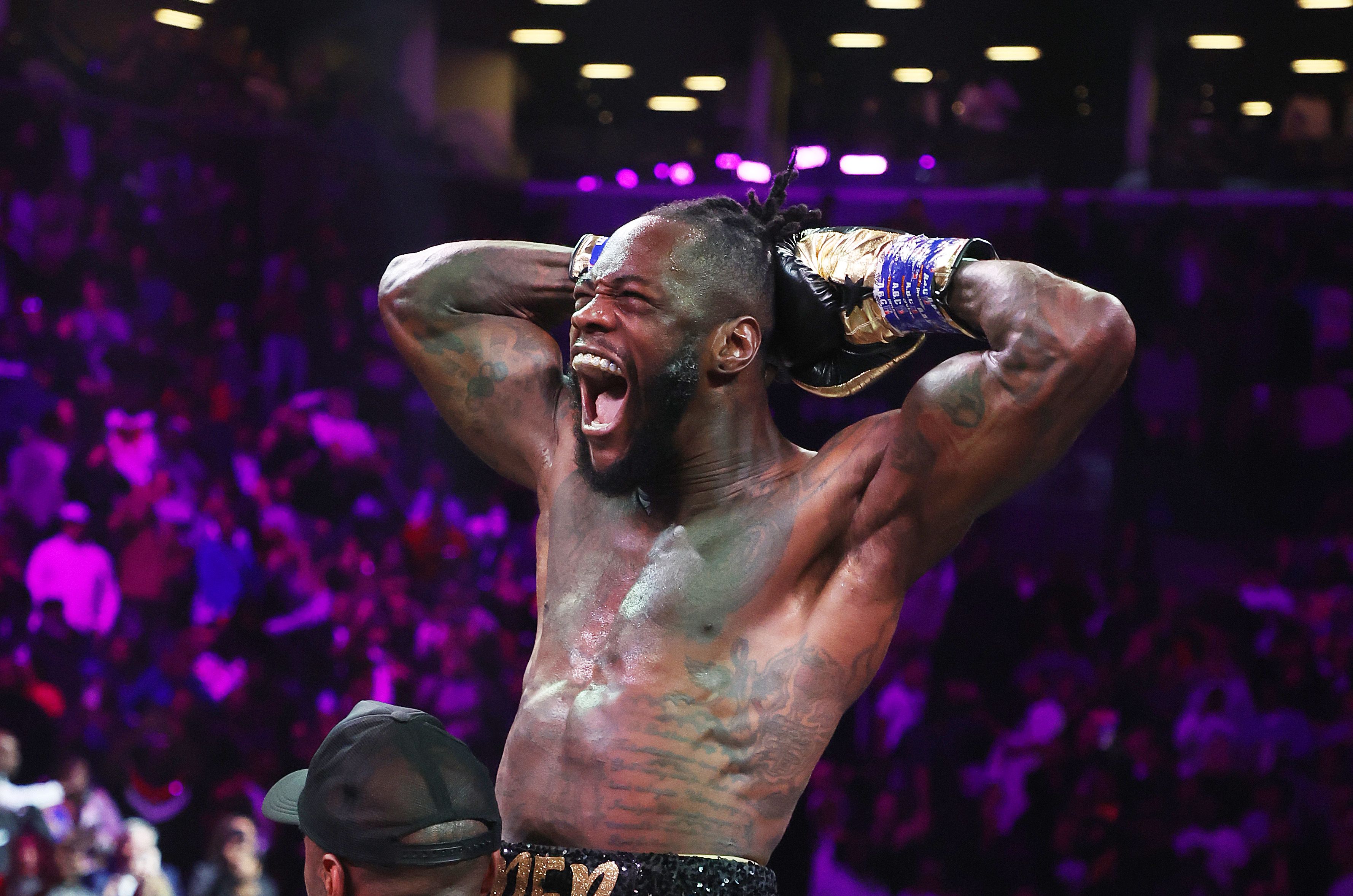 Deontay Wilder has been ordered to face Andy Ruiz Jr next in a WBC final eliminator