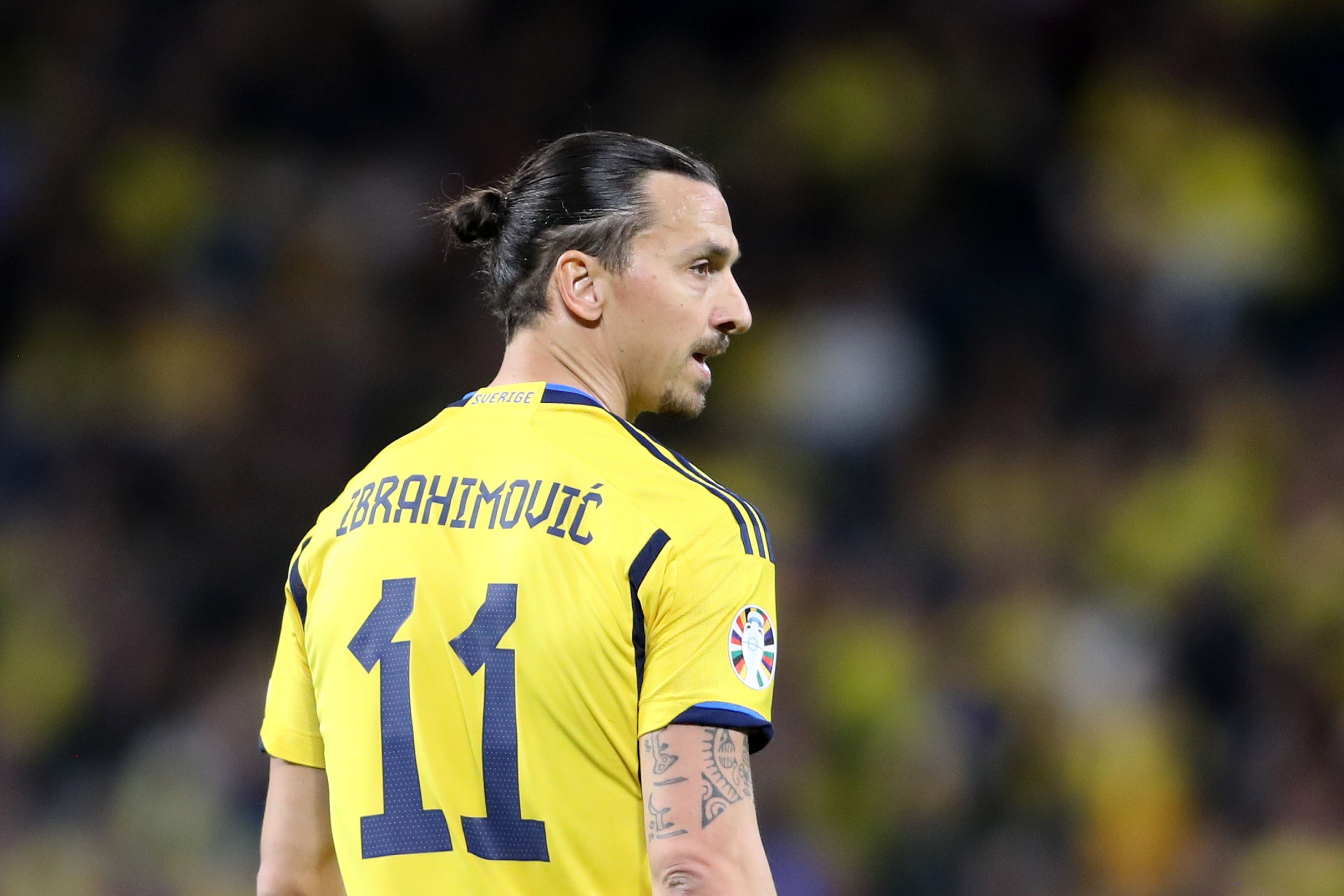 Zlatan Ibrahimovic in action for Sweden.
