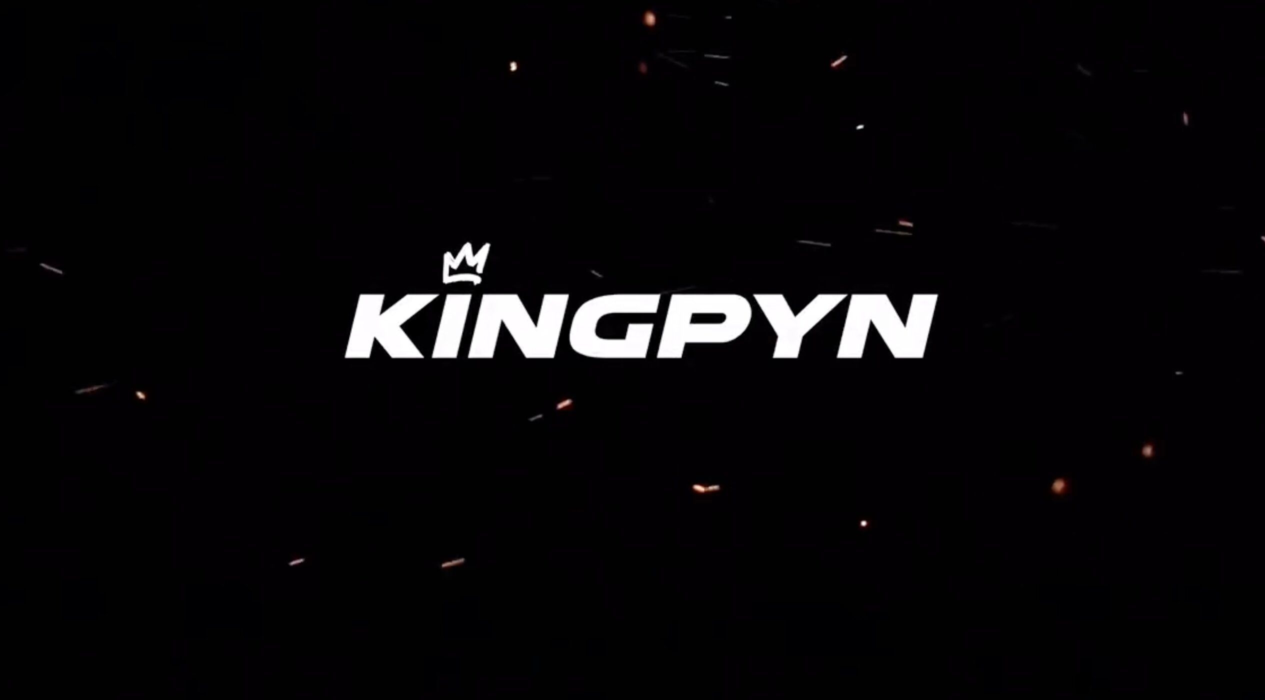 Kingpyn boxing logo