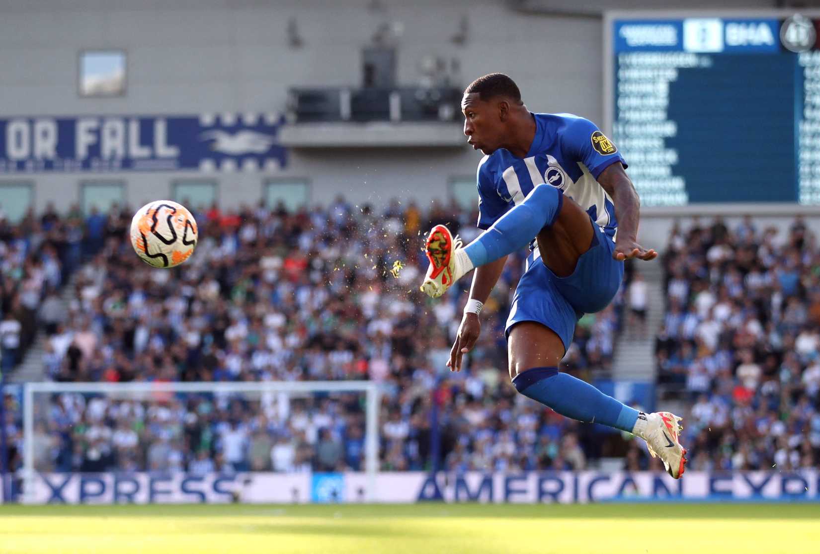 Brighton & Hove Albion's Pervis Estupinan
