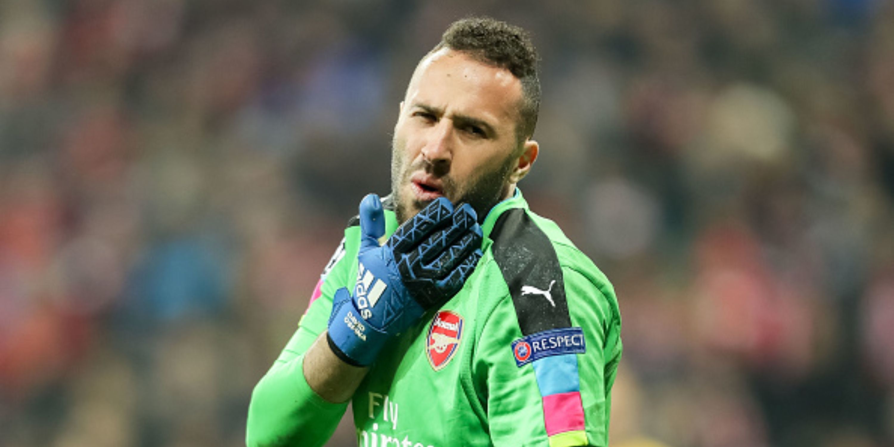 21 Best Arsenal Goalkeepers Of The Premier League Era (Ranked)