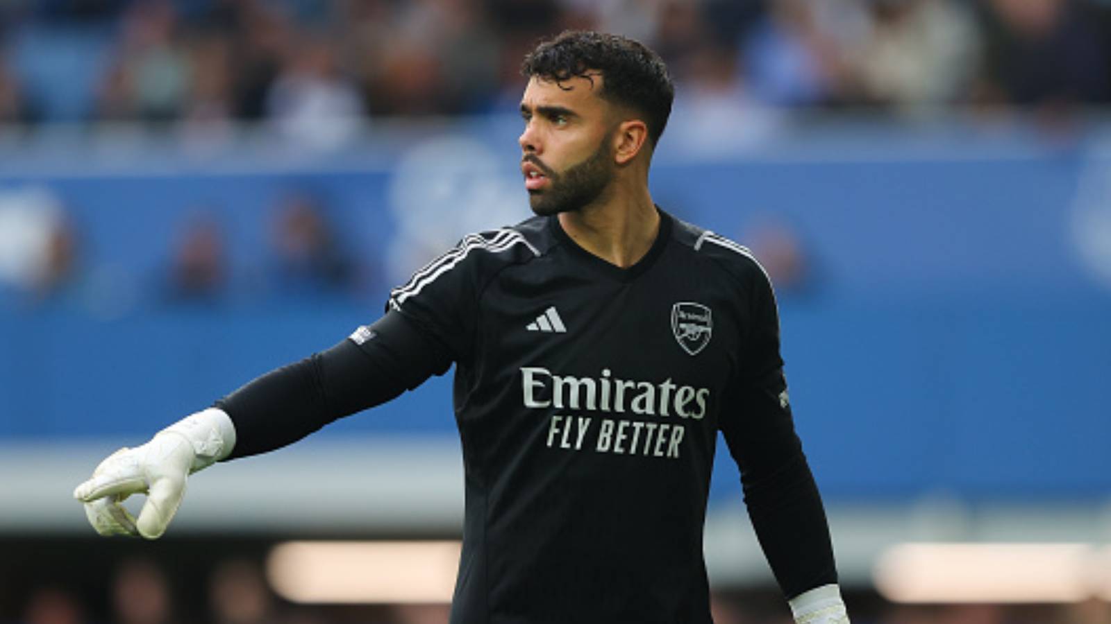 Joshua Raya Arsenal: Raya has received 'strong indication' from Arteta at the Emirates