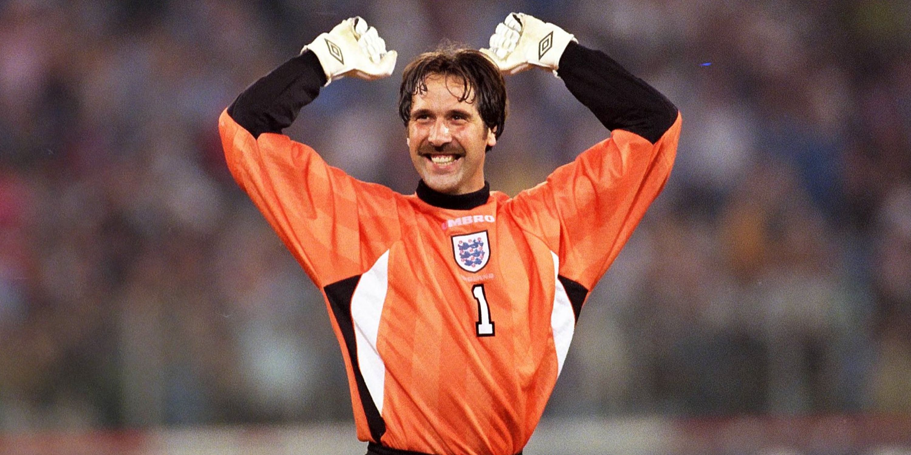 David Seaman in action for England