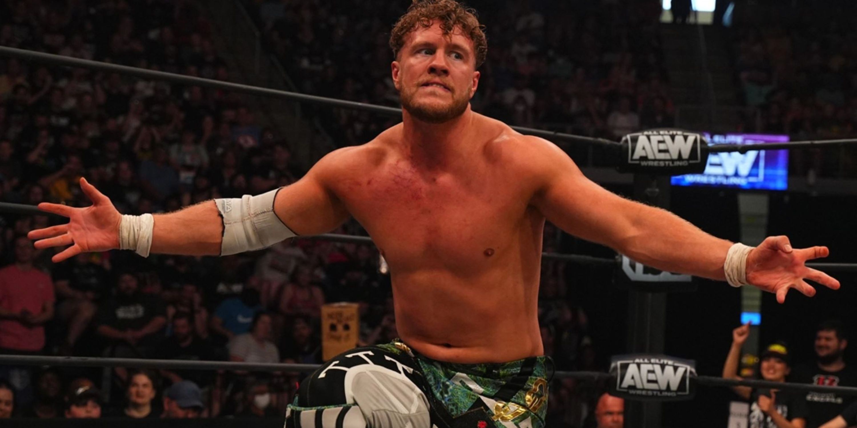 the-best-wrestler-in-the-world-has-spoken-to-wwe-about-shock-2024-move