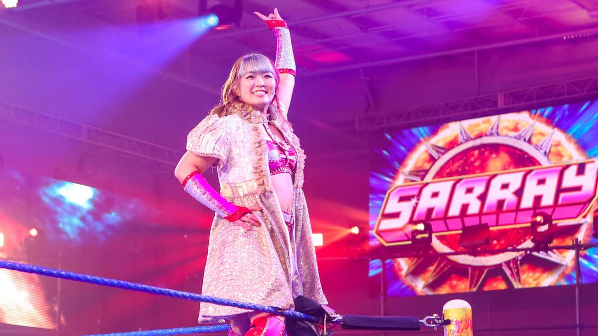 WWE Schedule 2024 Every Date, Result, PPV and NXT