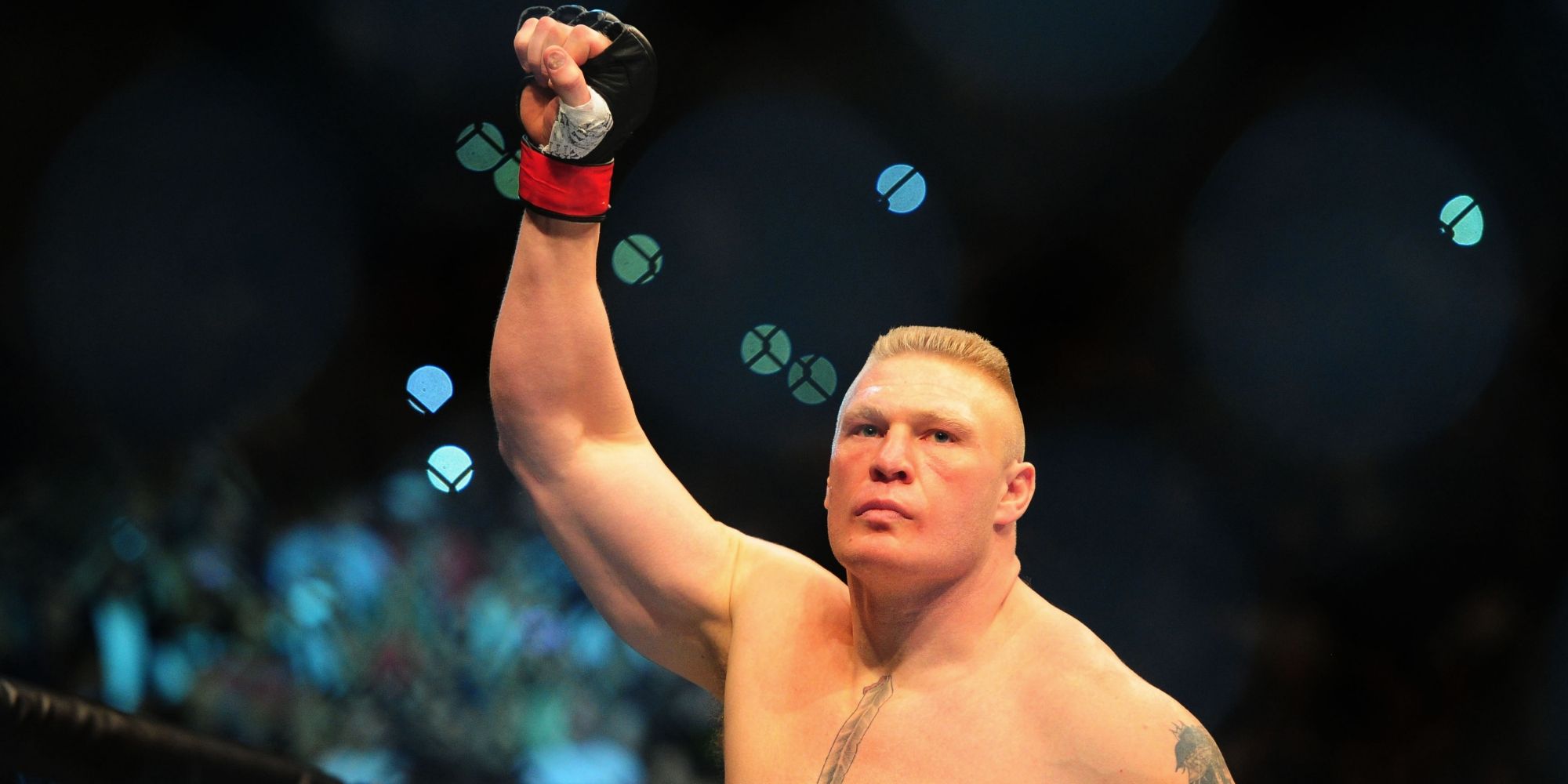 Brock Lesnar celebrates in the UFC