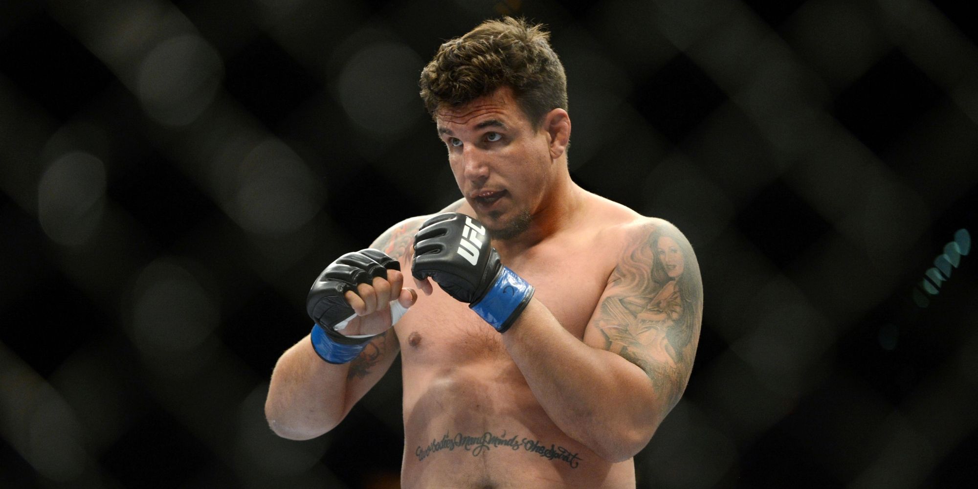 Frank Mir in the UFC