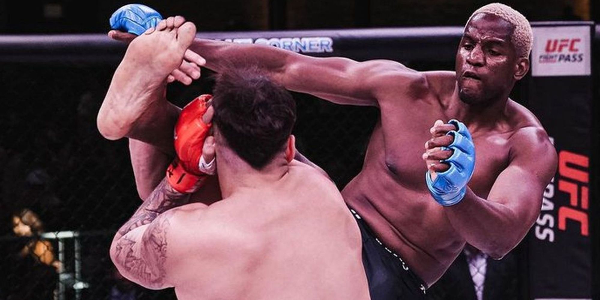 Meet New UFC Heavyweight Robelis Despaigne: Record, KOs