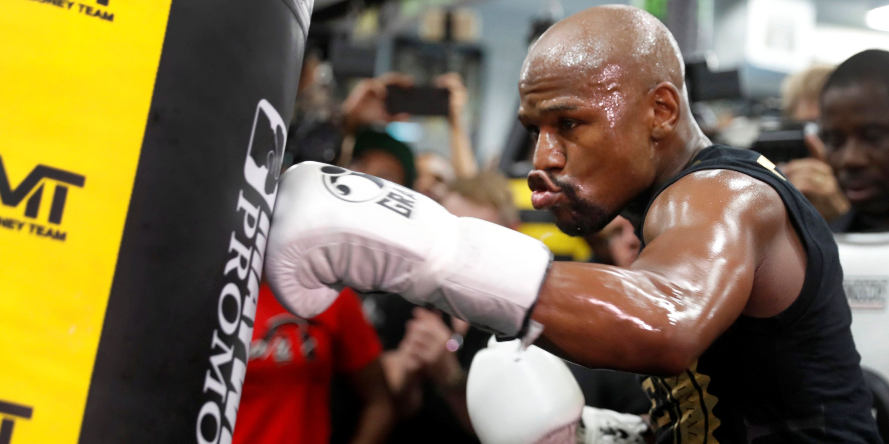 Jake Paul builds his ultimate boxer