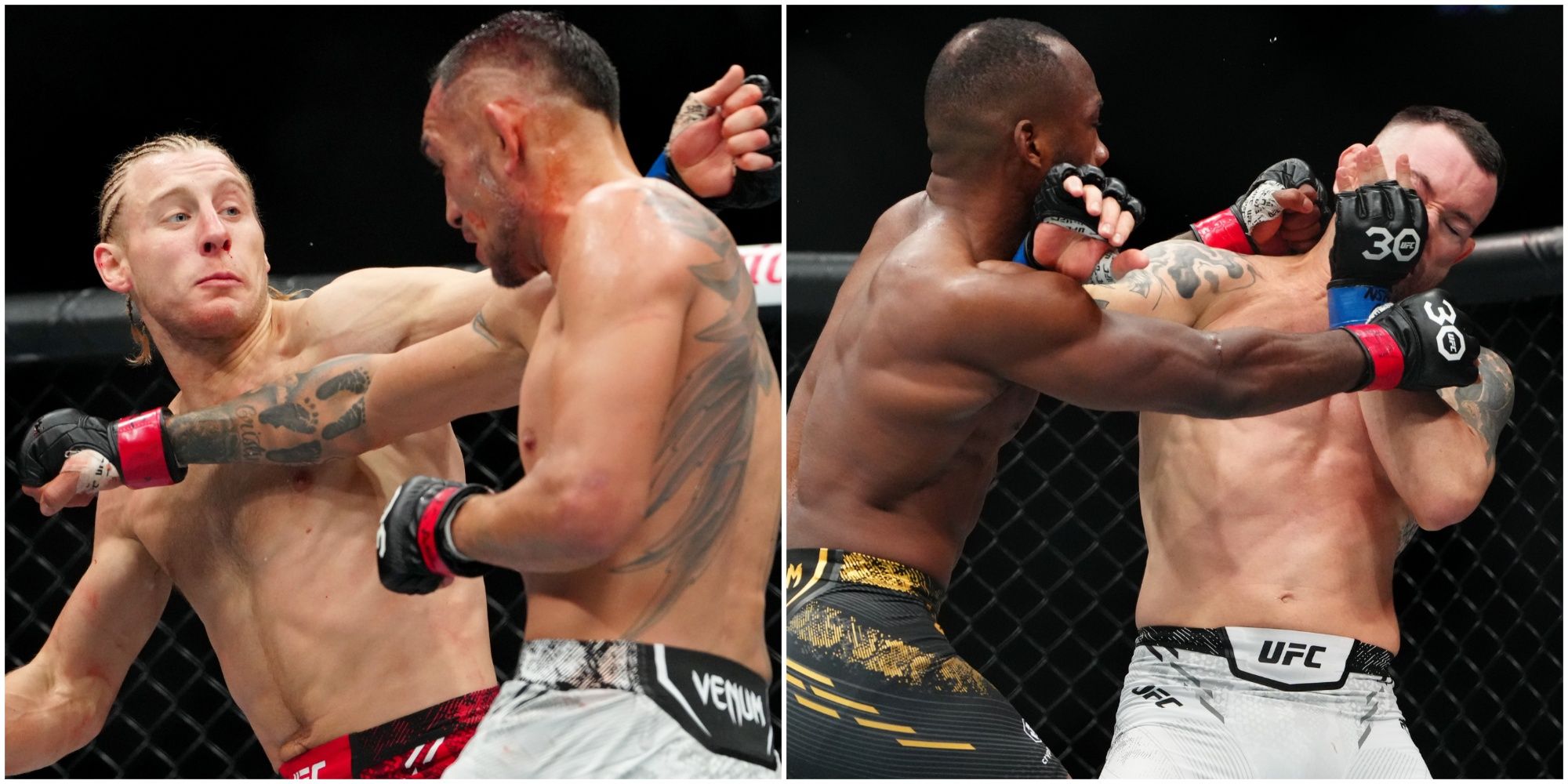 Next steps and fights for UFC 296 winners and losers