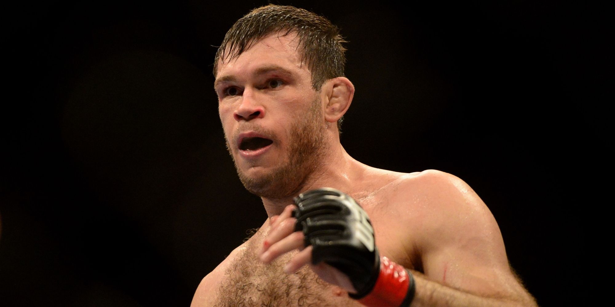 The 10 best UFC lightheavyweights in history ranked