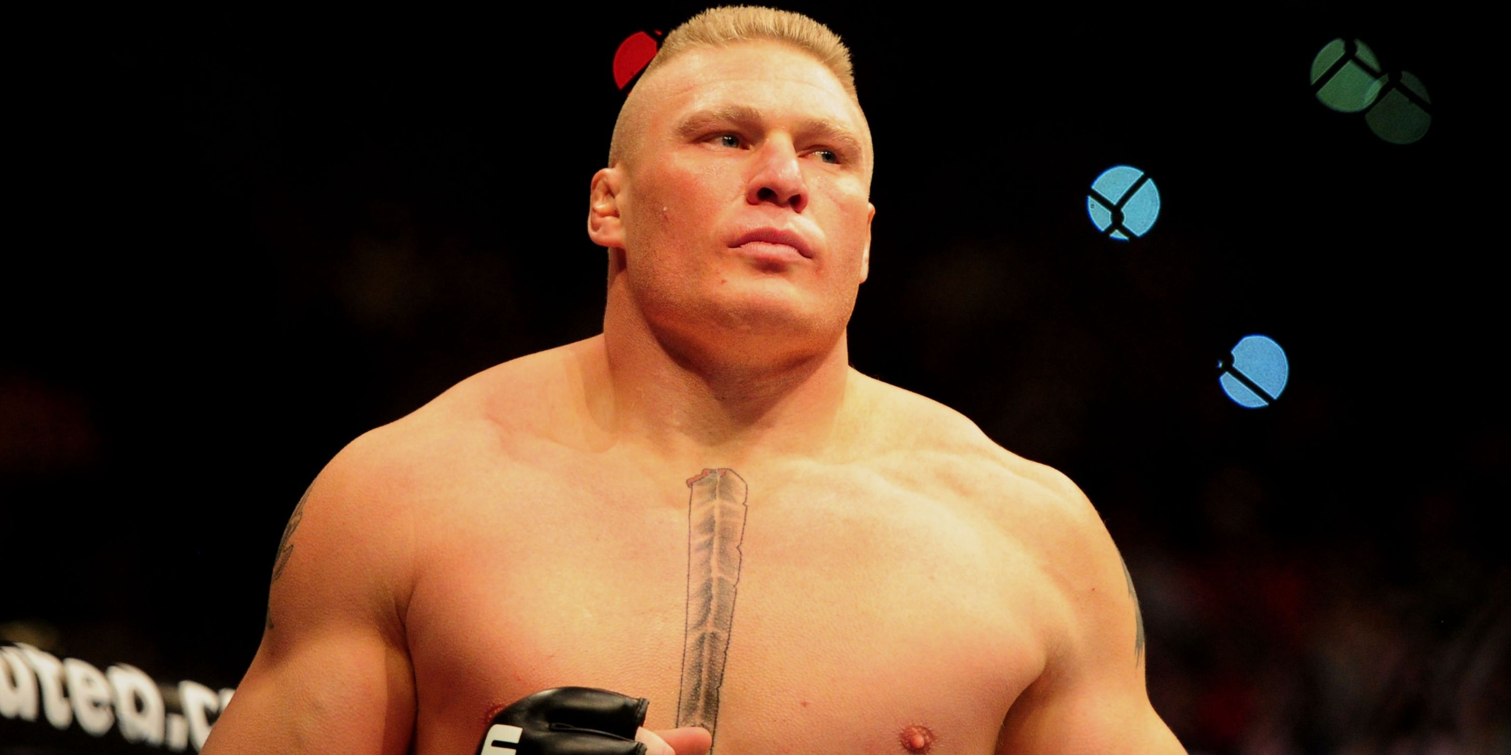 MixCollage-11-Jan-2024-08-23-AM-9153