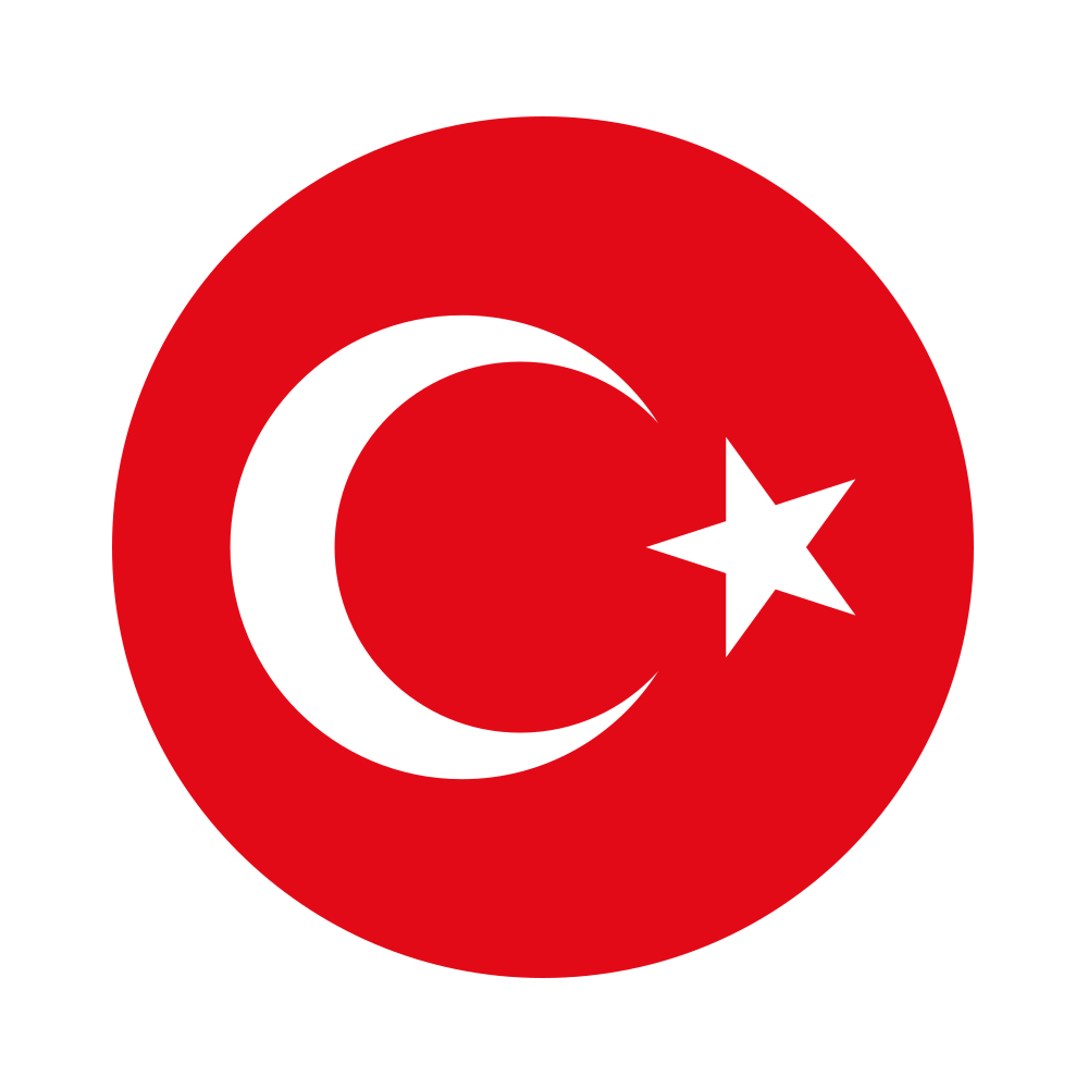 Turkey national football team crest