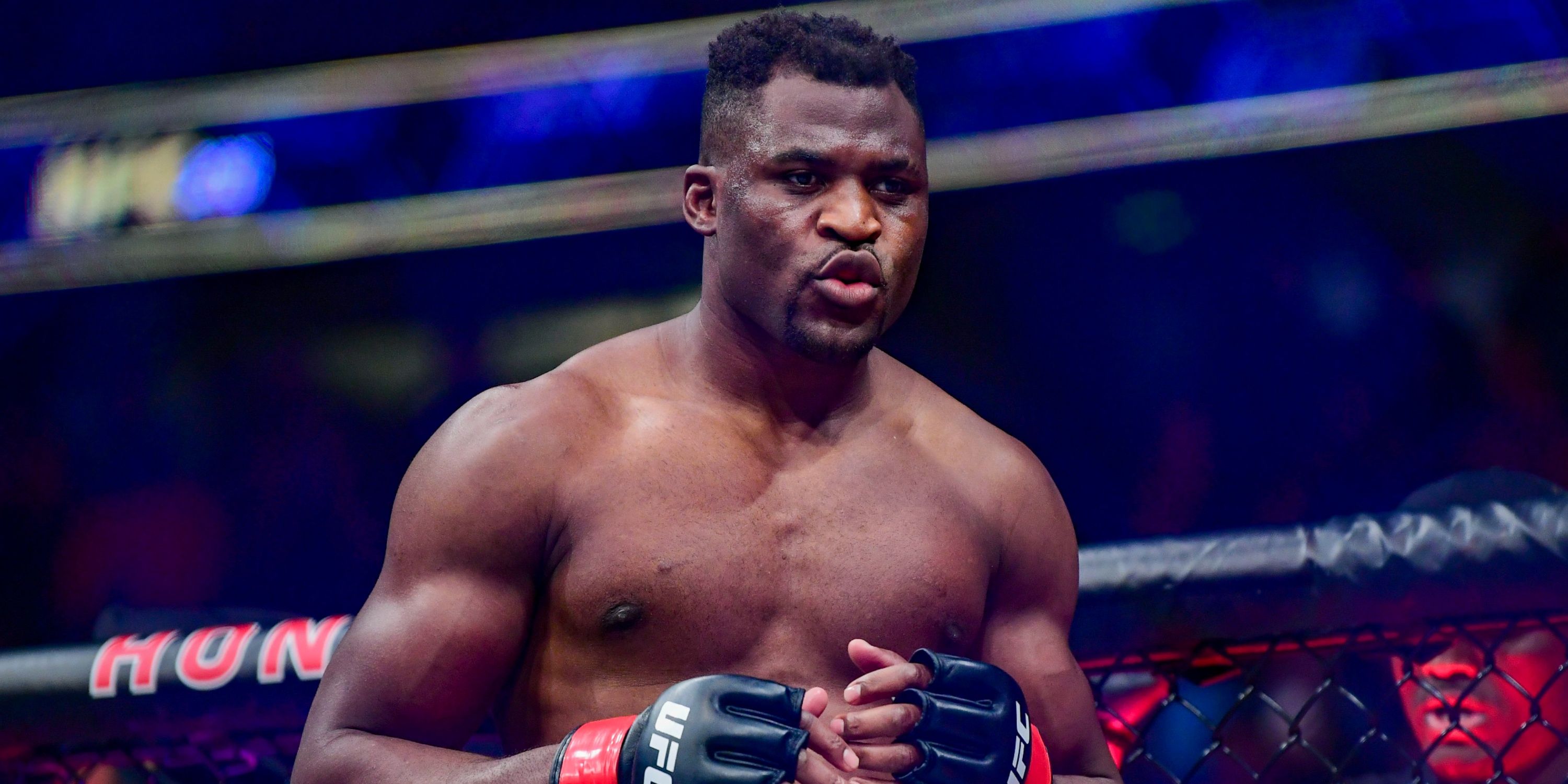 Francis Ngannou in the Octagon