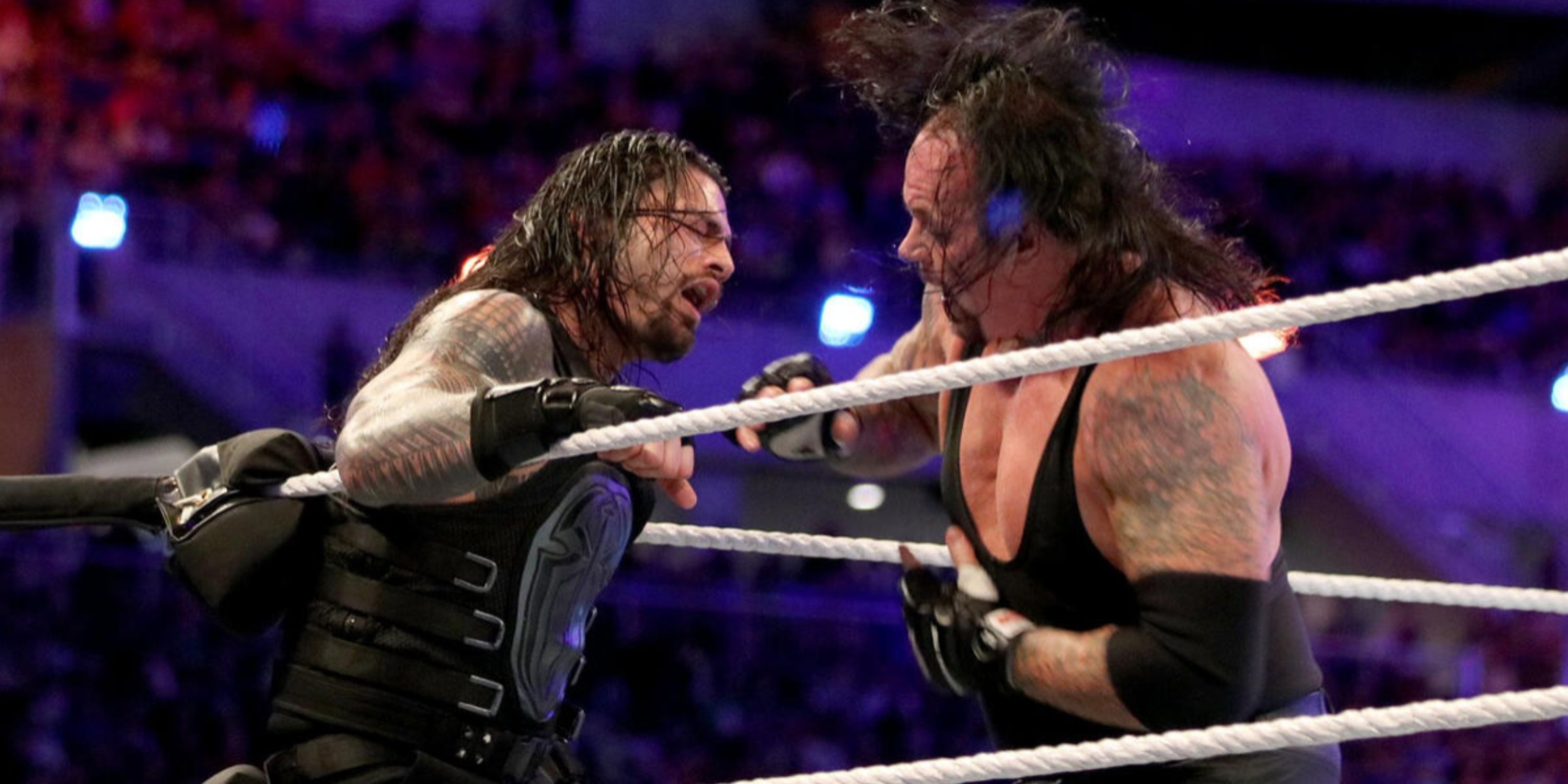 Roman Reigns vs The Undertaker at WWE WrestleMania 33