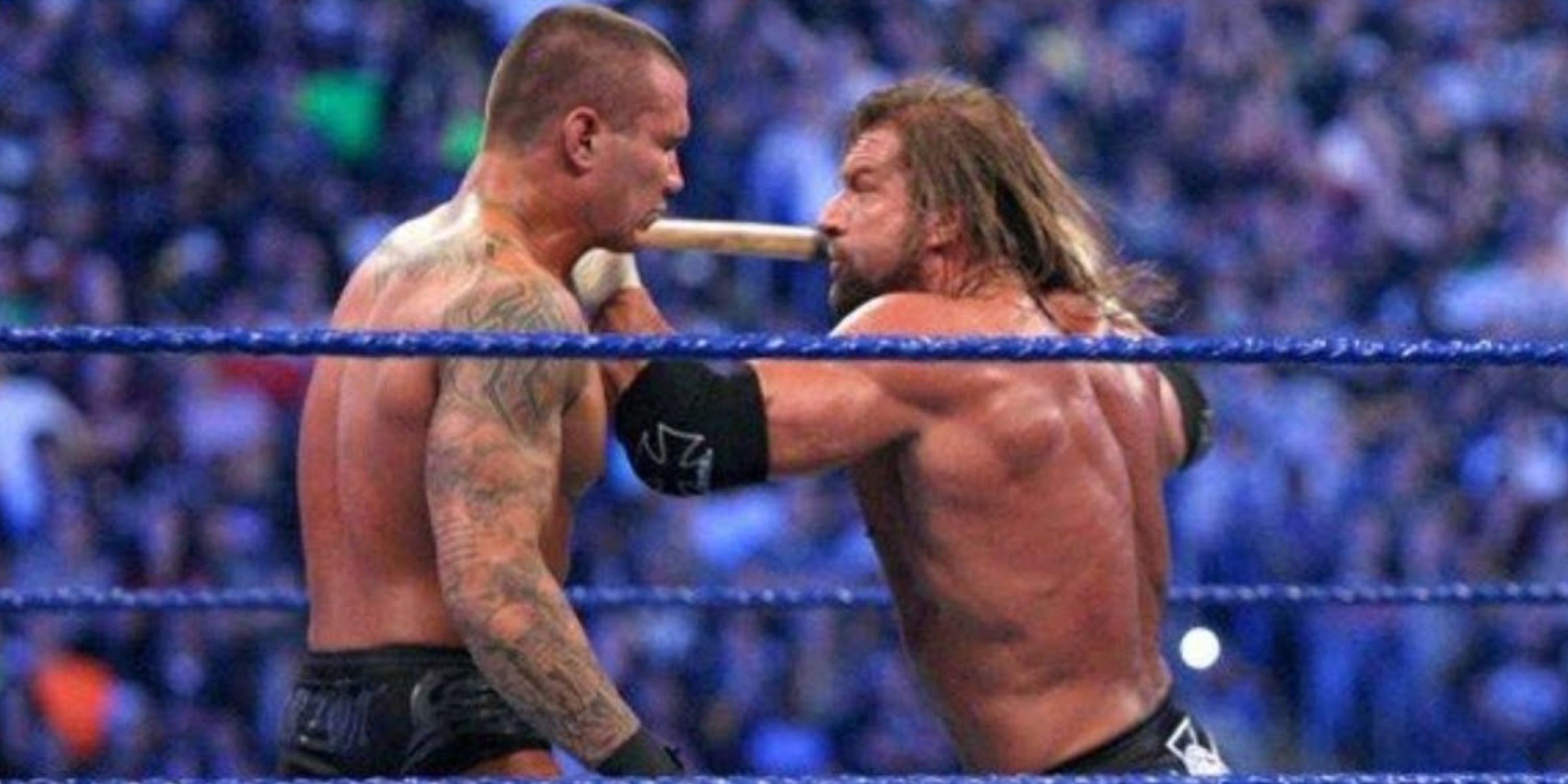 Triple H vs Randy Orton at WWE WrestleMania 25