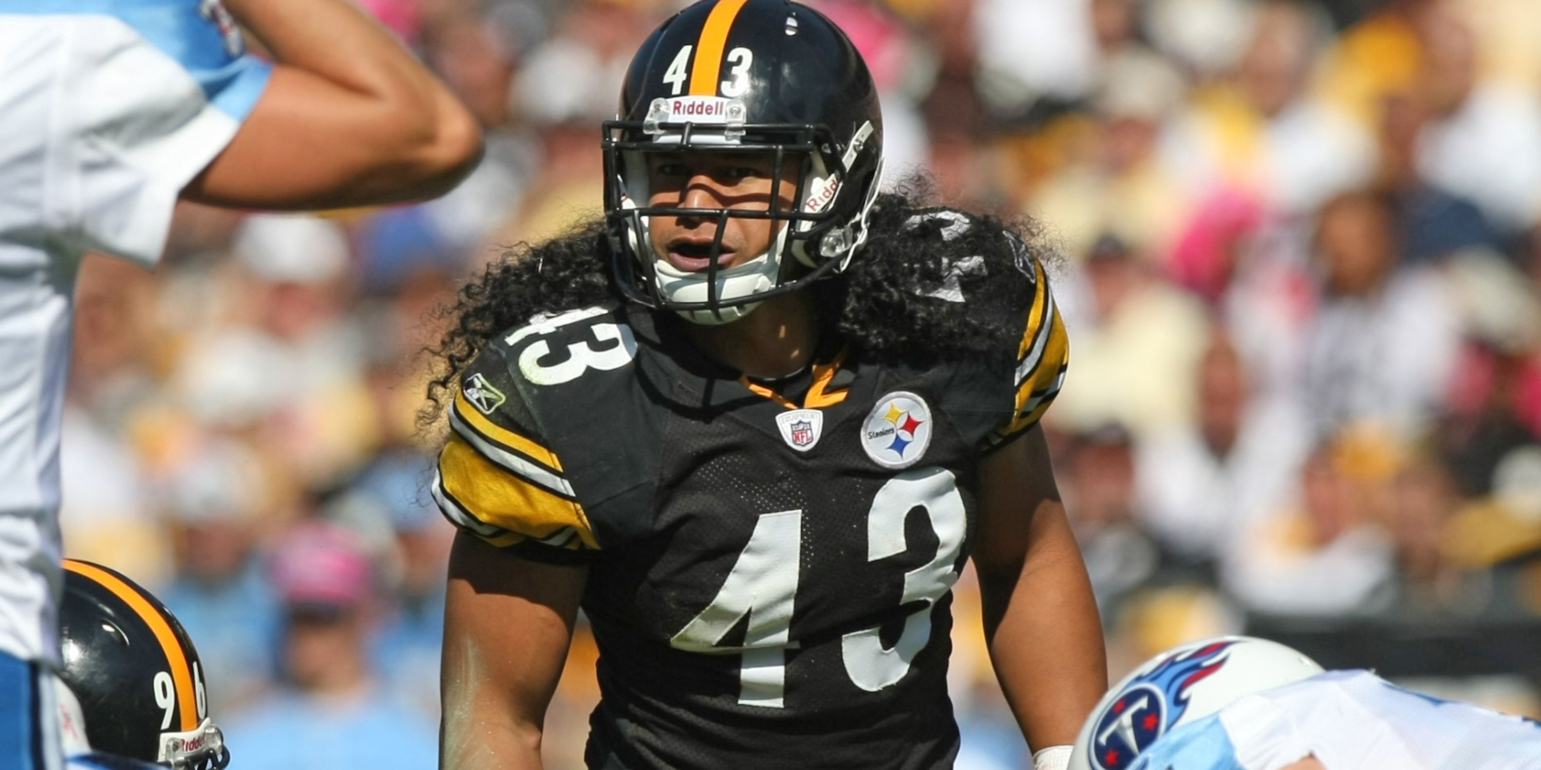 Troy Polamalu awaits the snap