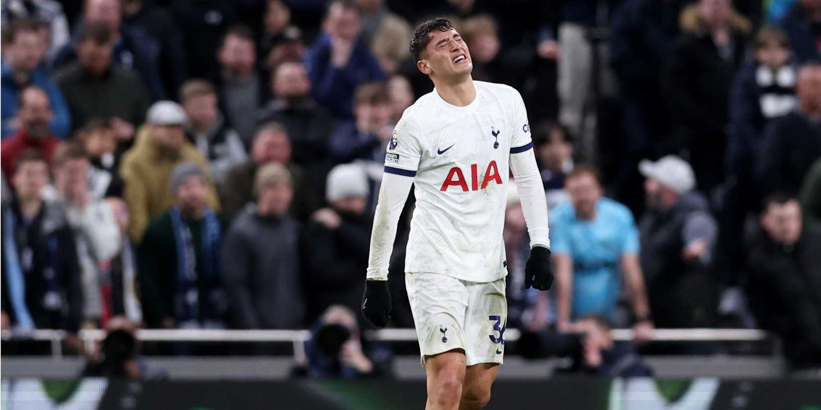 Tottenham Hotspur striker Alejo Veliz