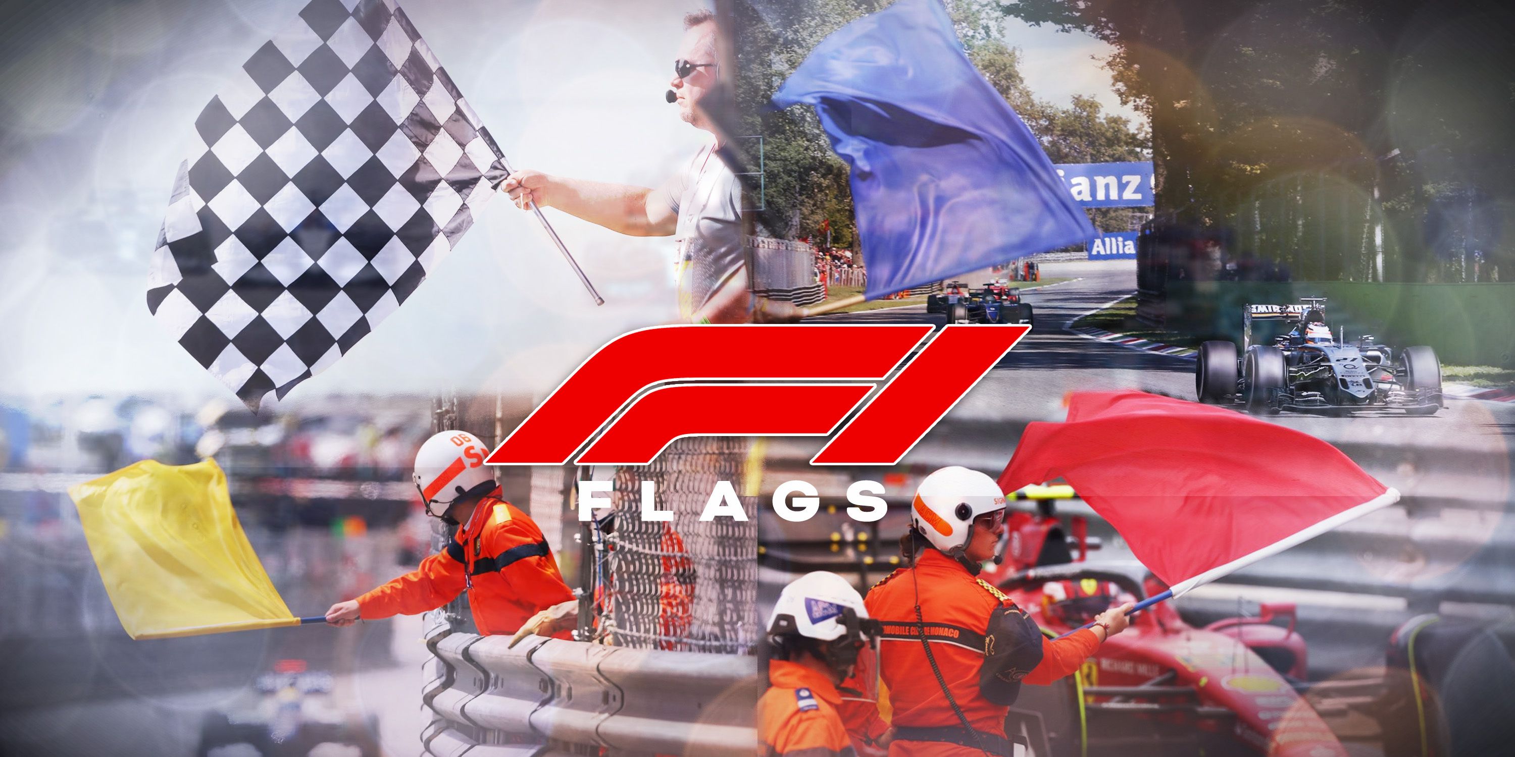 Formula 1 flags