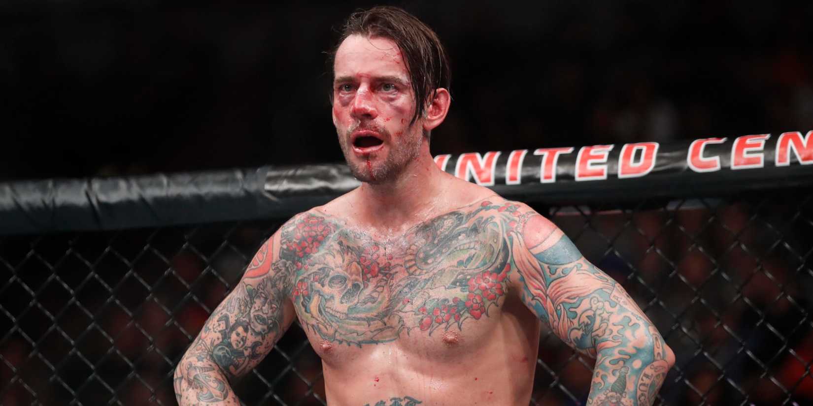 CM Punk in the UFC