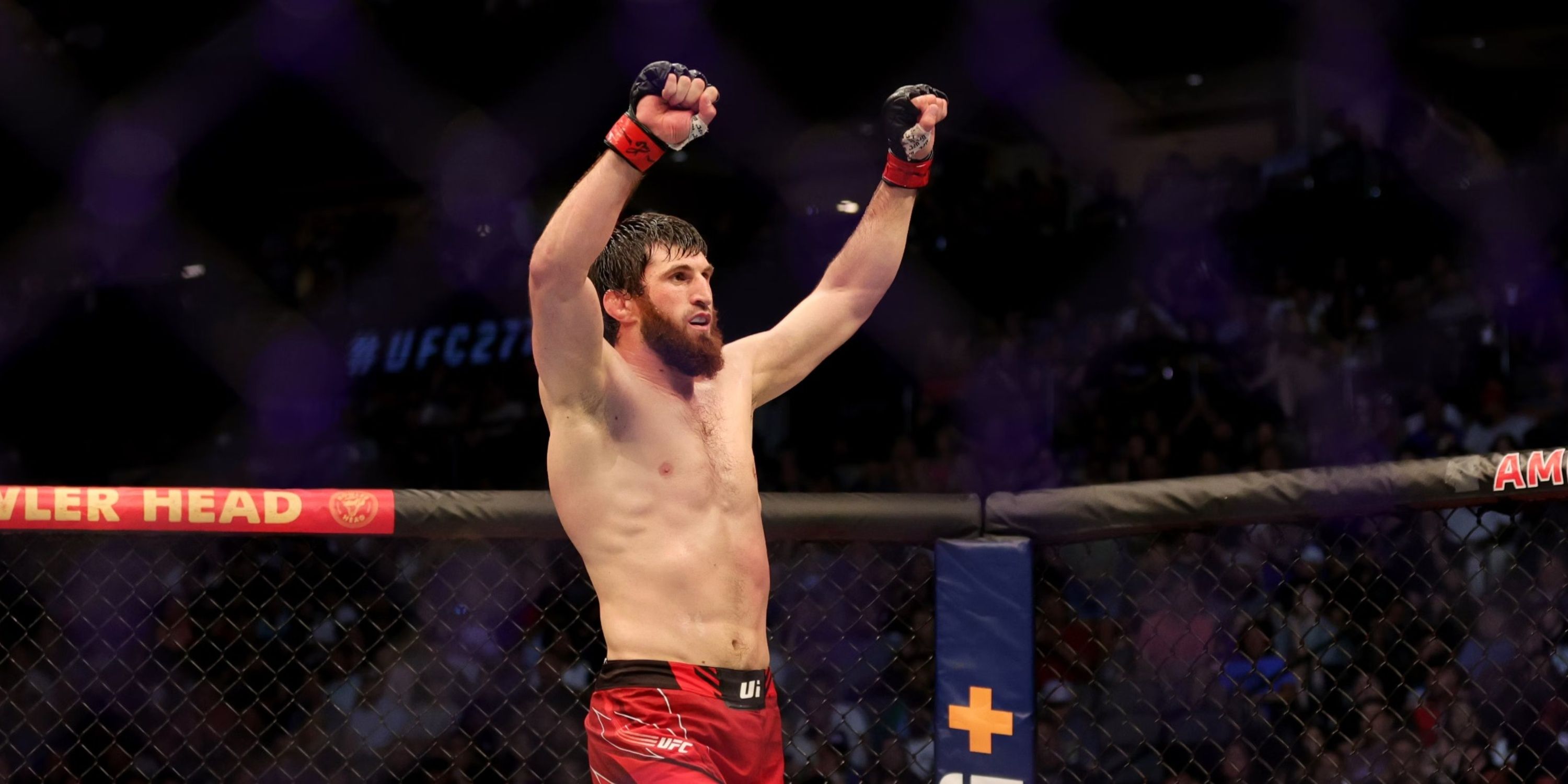 Magomed Ankalaev's Unique Offer to Alex Pereira if he Agrees to Face Him  Next