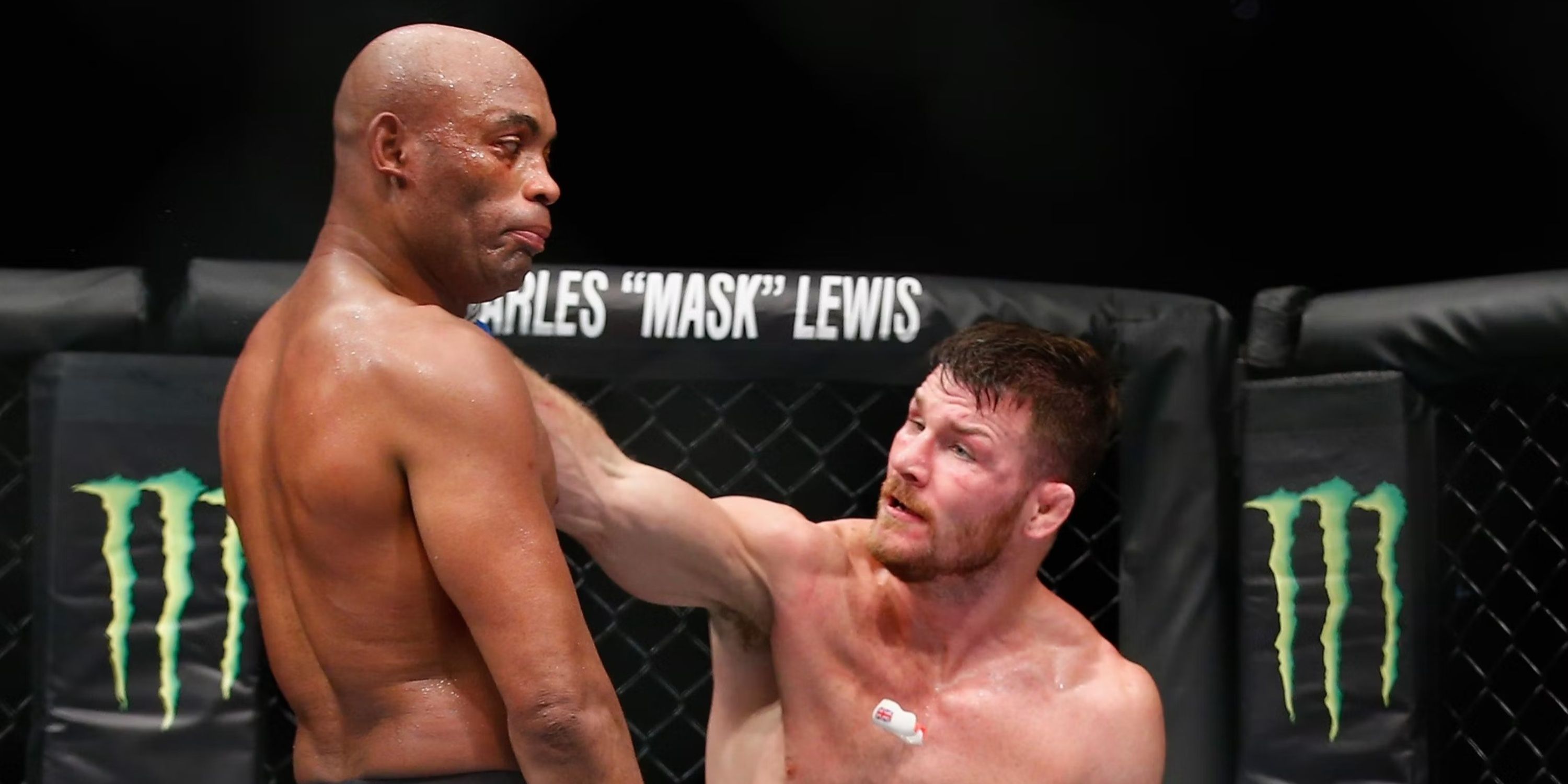 Michael Bisping and Anderson Silva in action.