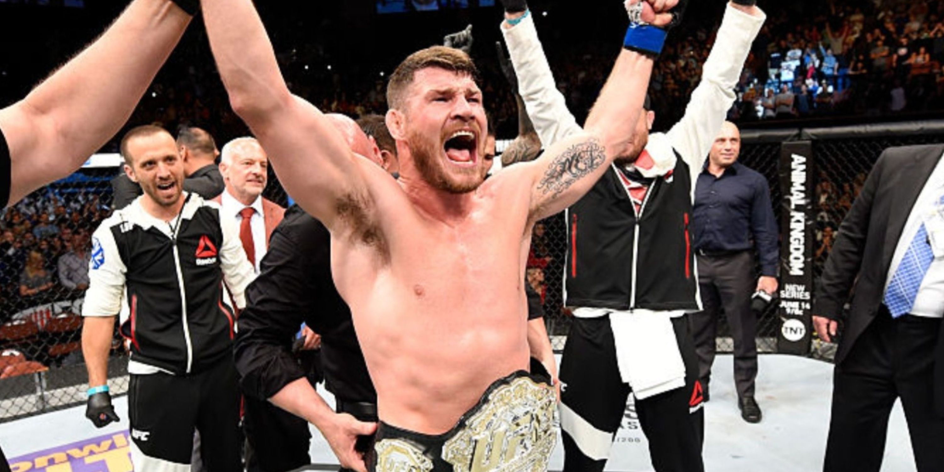 Michael Bisping celebrates winning UFC title