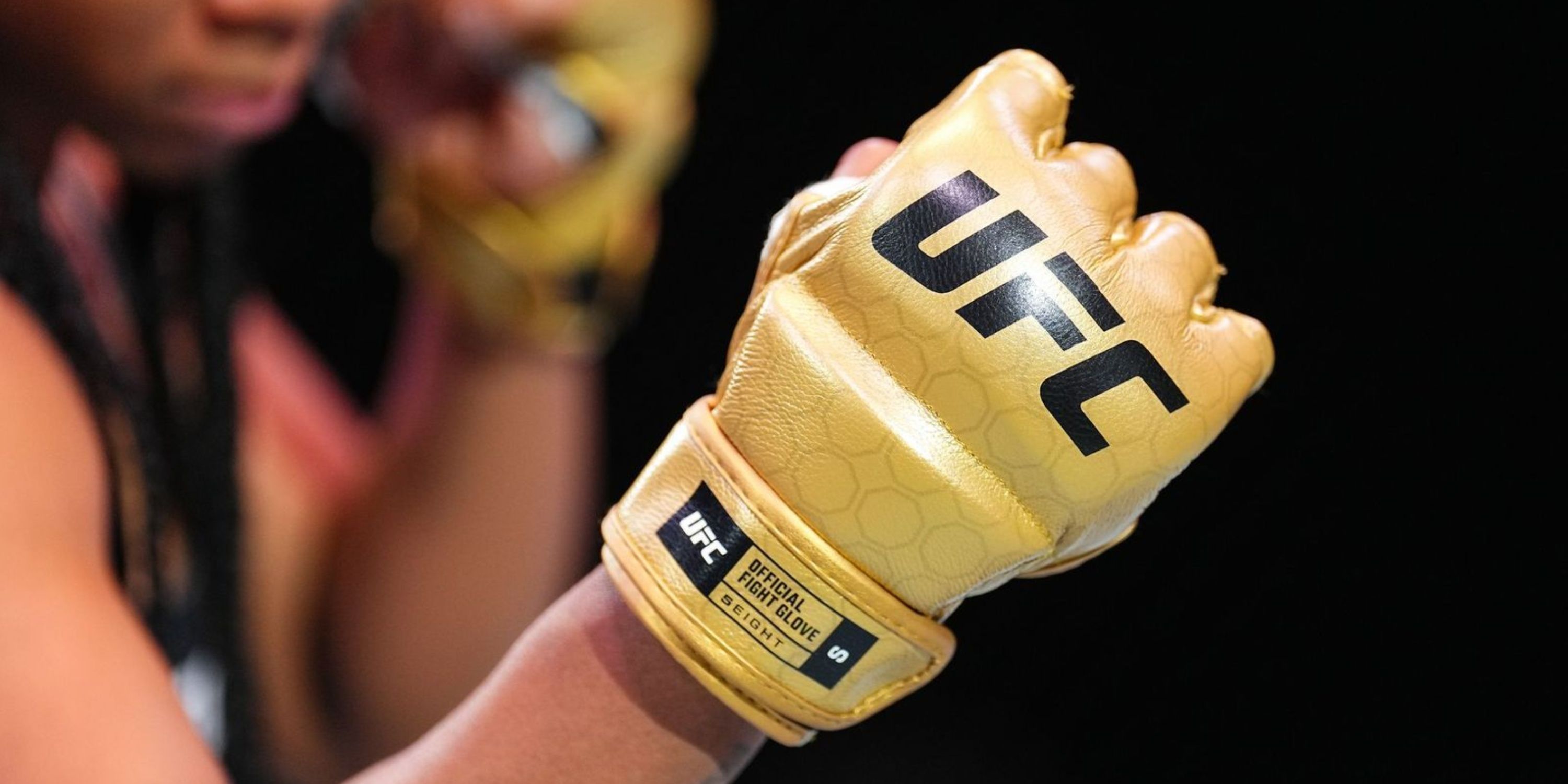 UFC Fight Glove