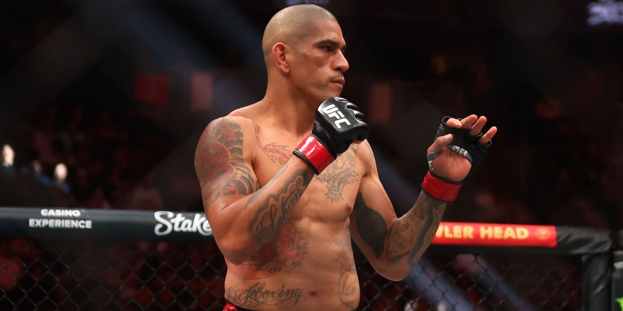 現在のUFCで最も背の高いファイタートップ10