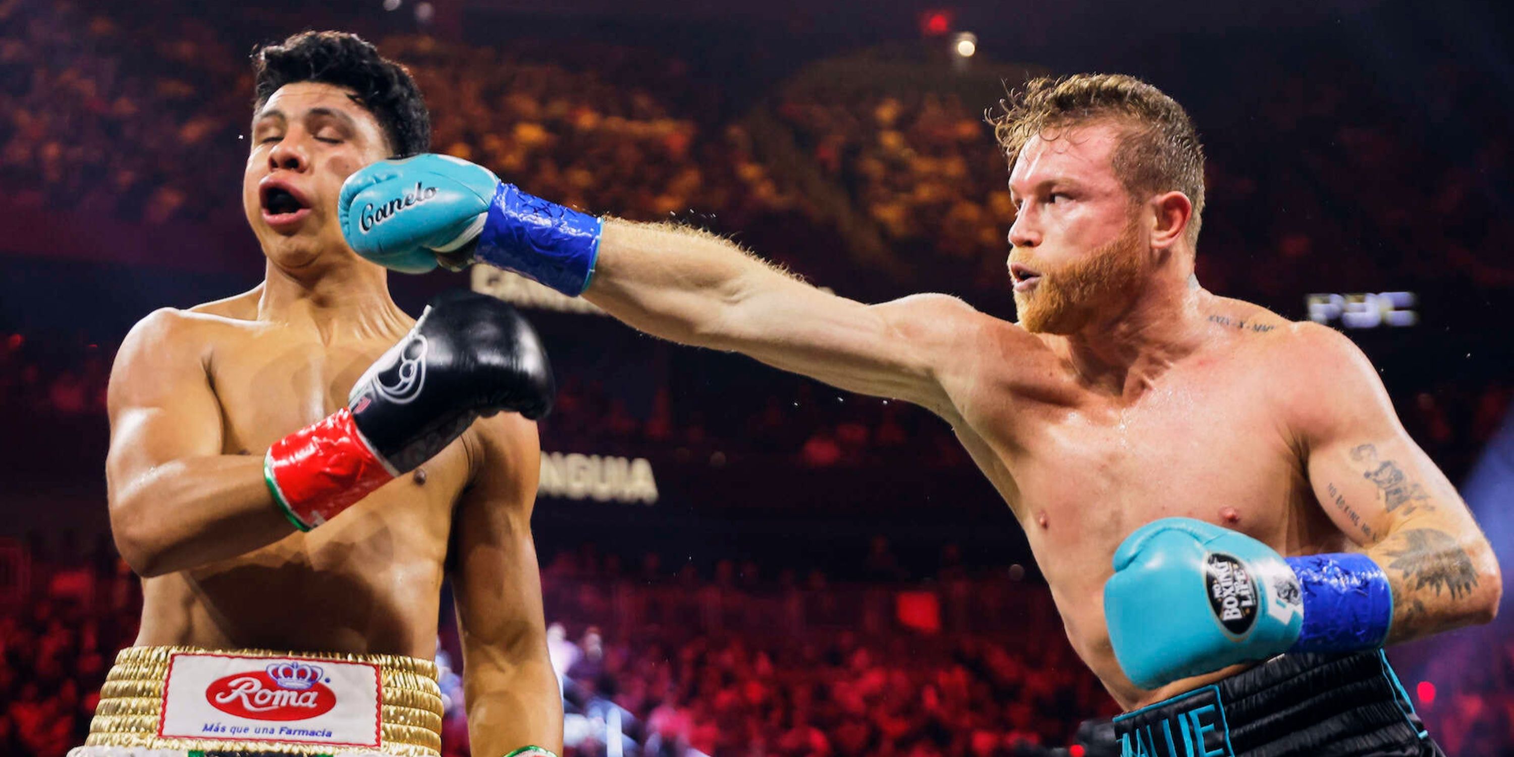 Canelo Alvarez Gets a Win And A Loss on The Same Night