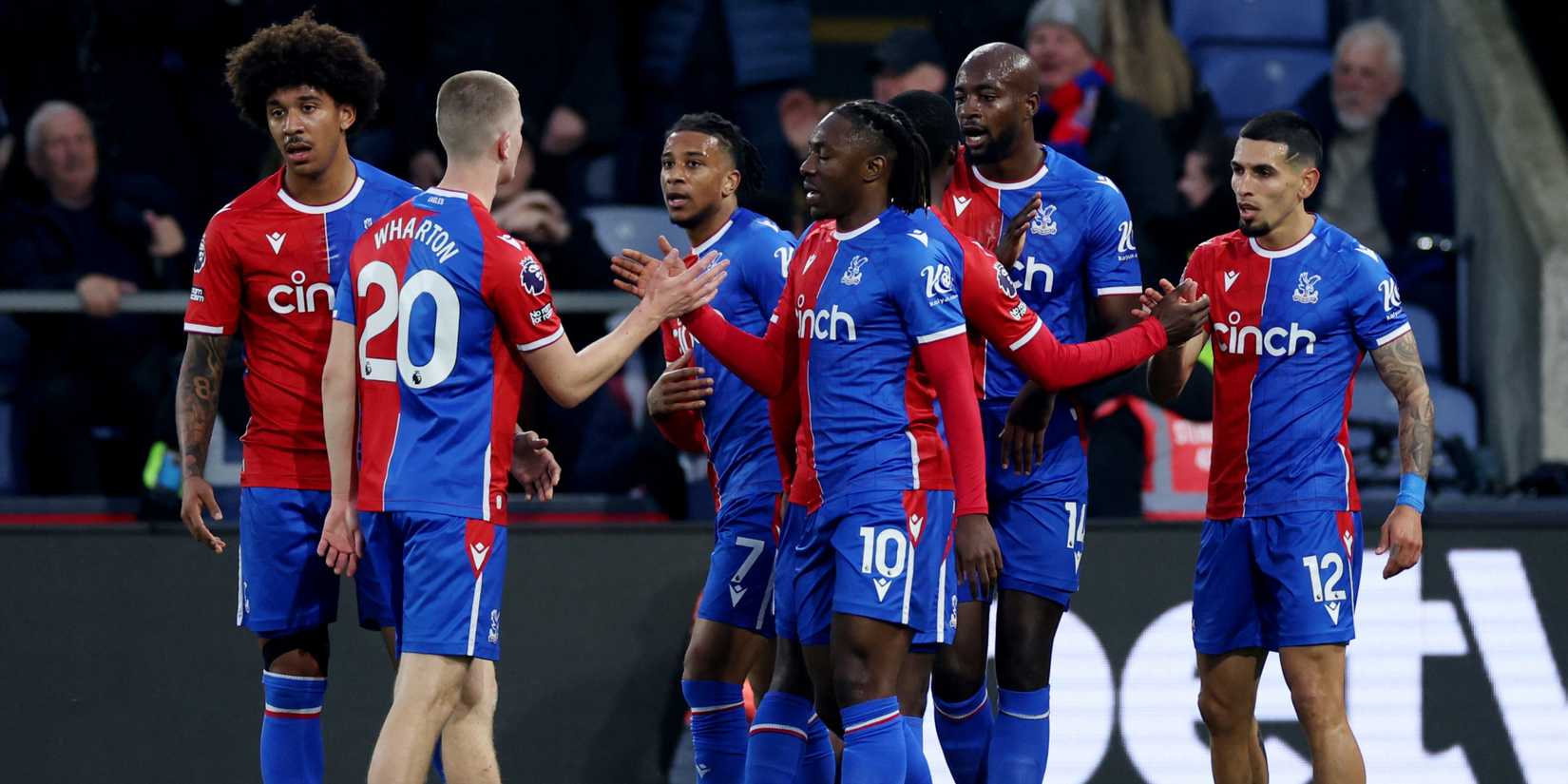 Crystal Palace celebrate goal