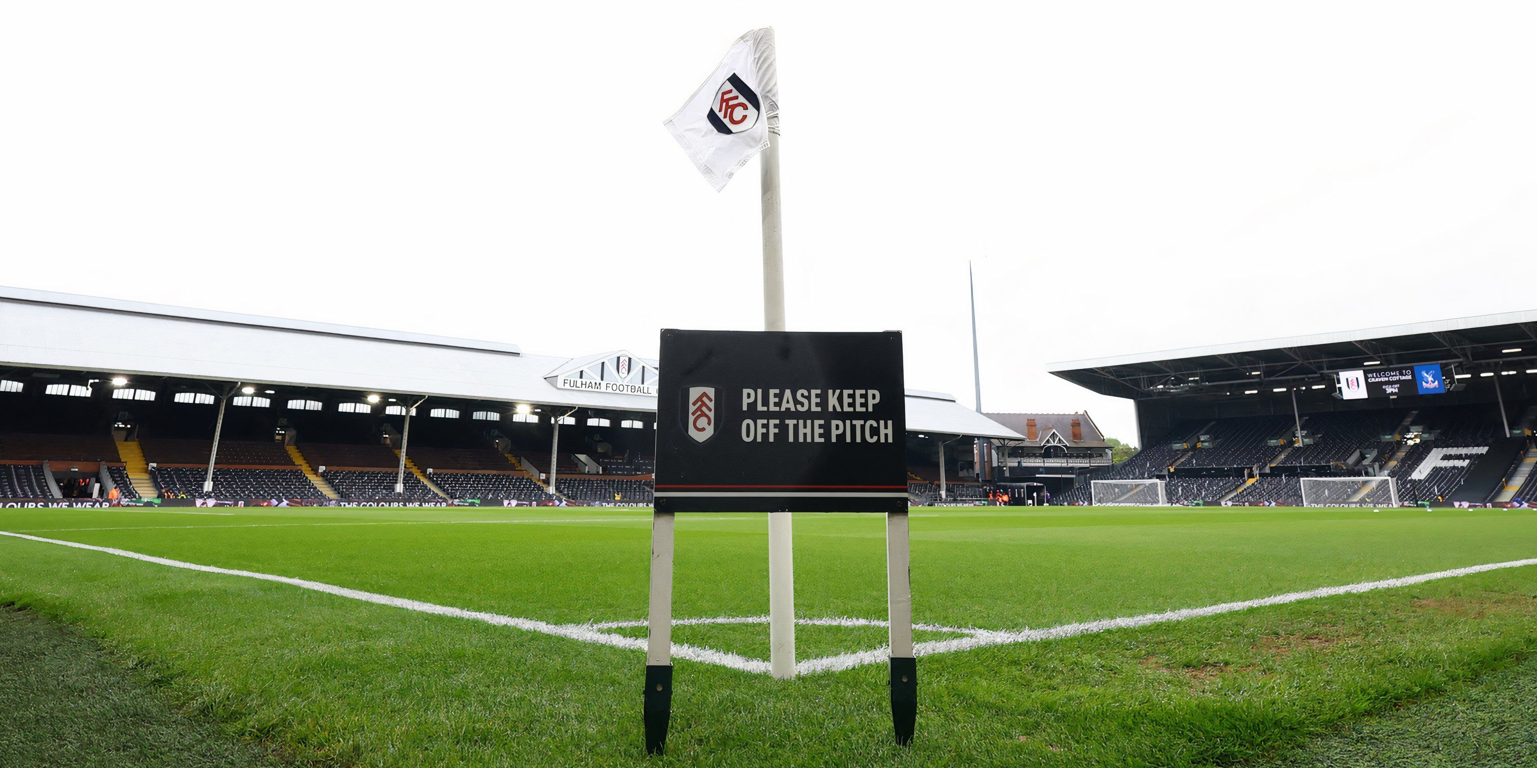 Craven Cottage pitch